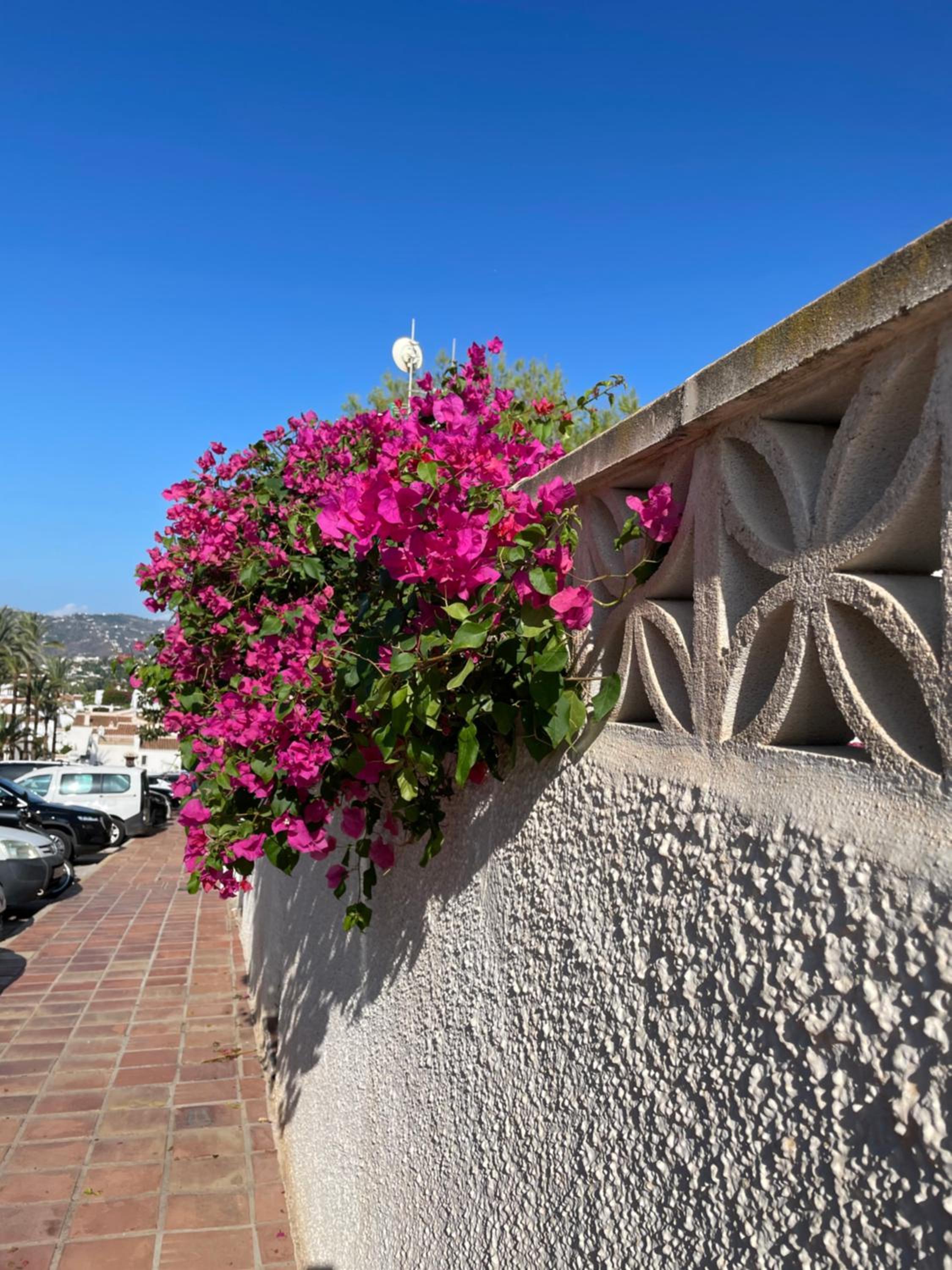 Lovely studio Nerja ground floor
