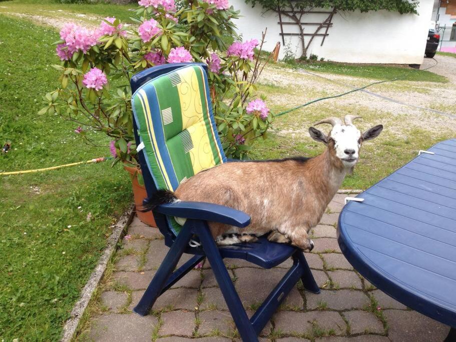 Ferienwohnung Ingrid