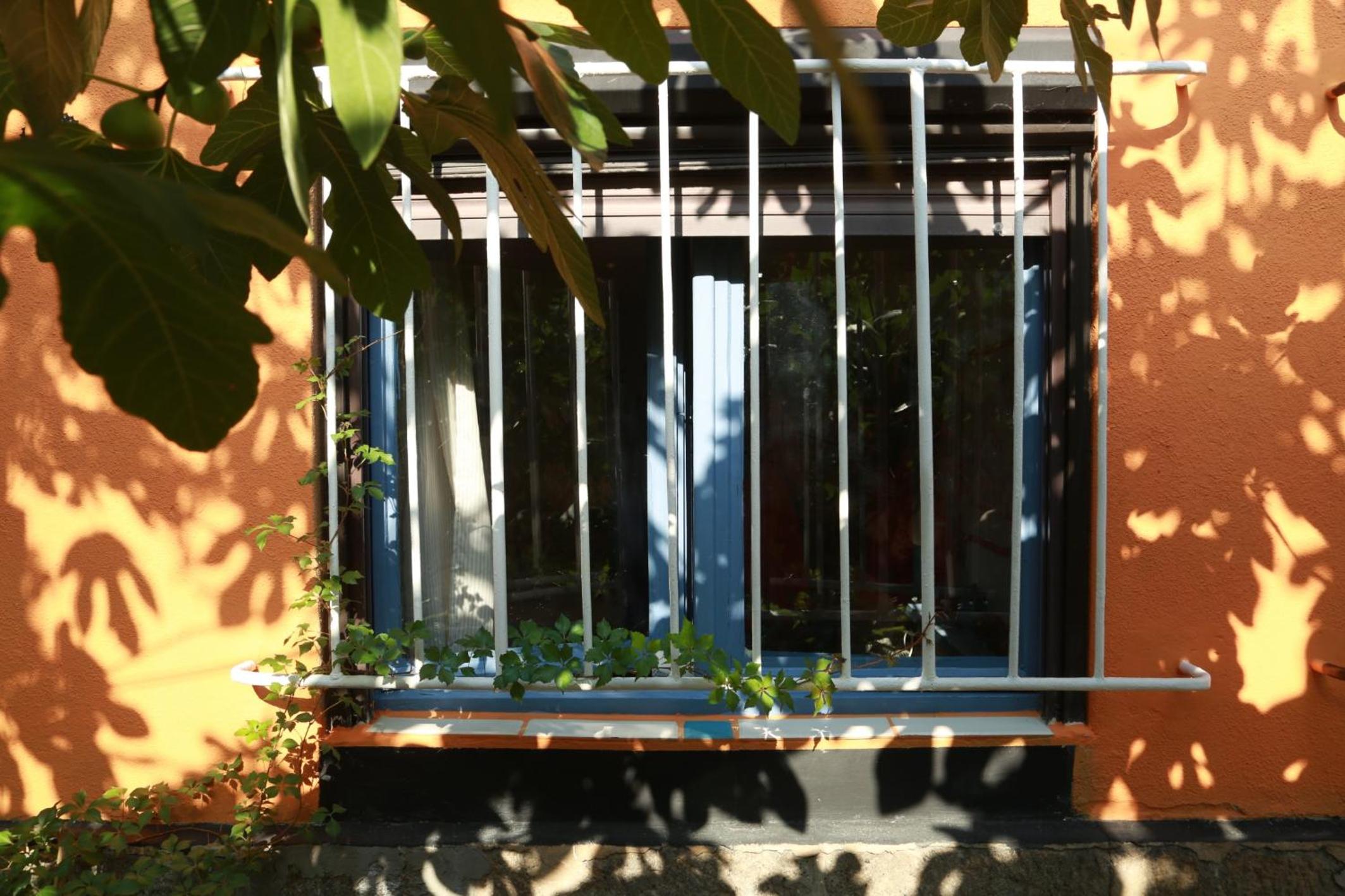 Photo 43