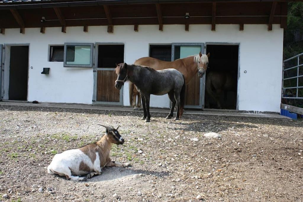 Ferienwohnung Ingrid