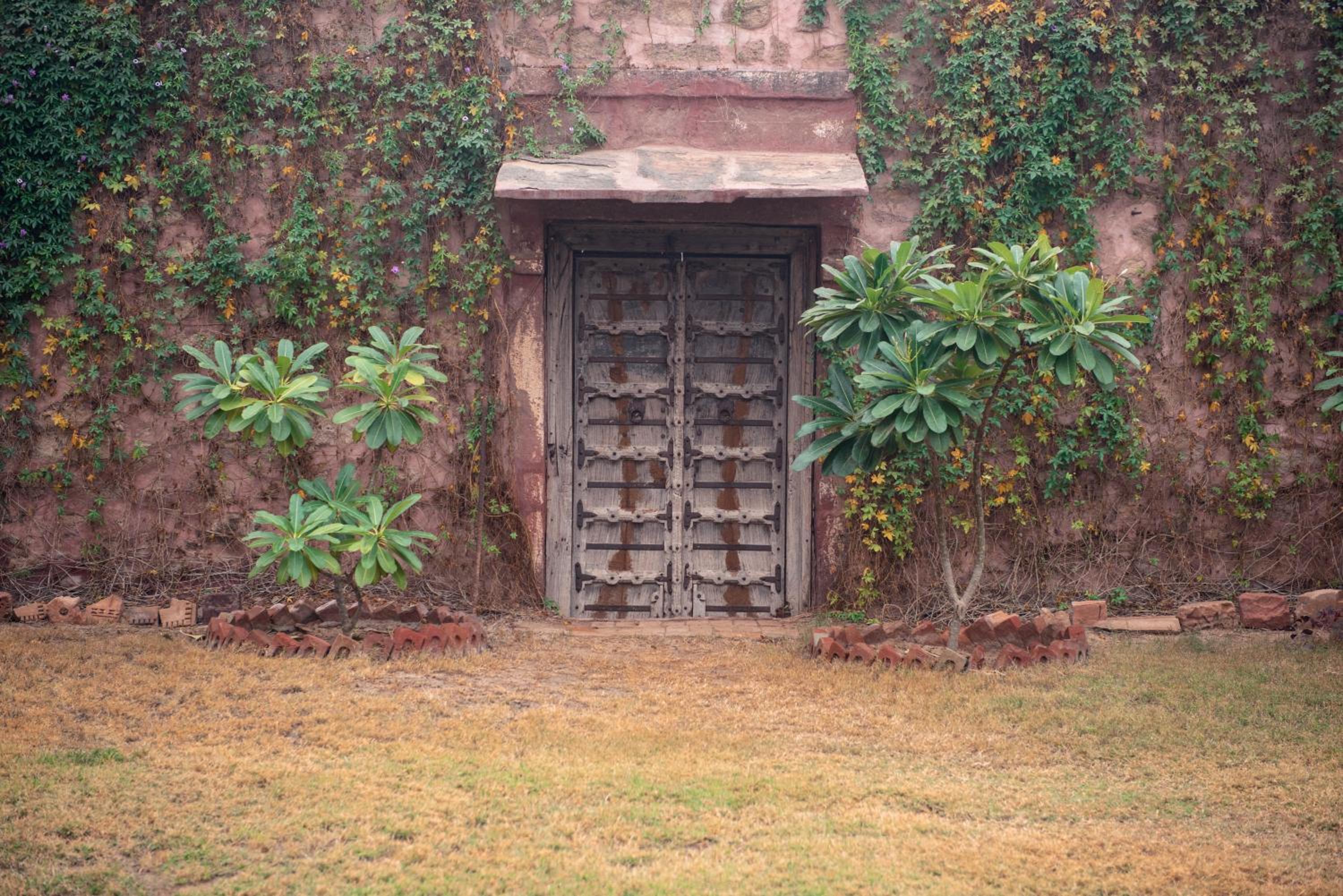 Photo 19
