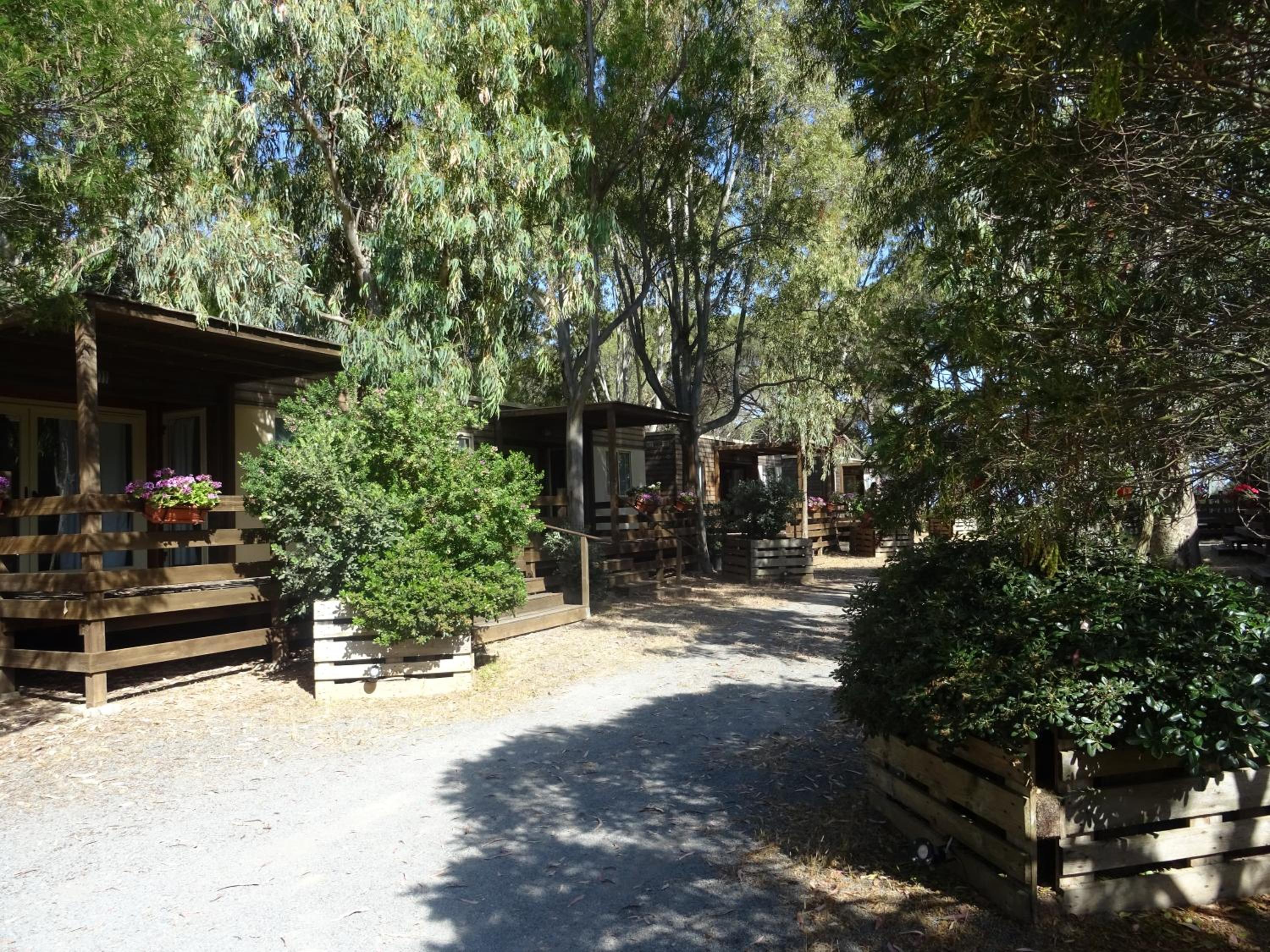 Photo 41