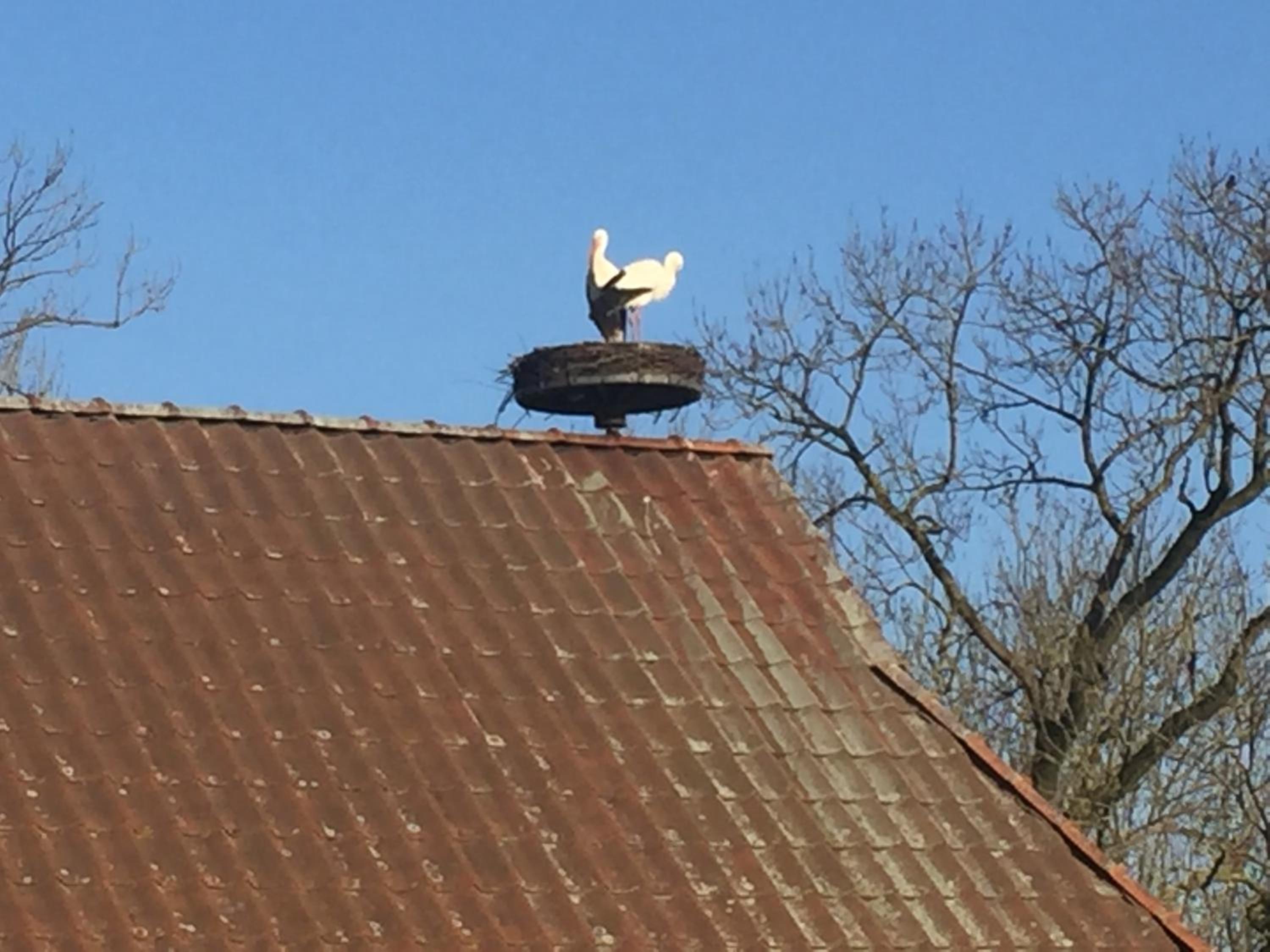 Remise unter dem Storchennest
