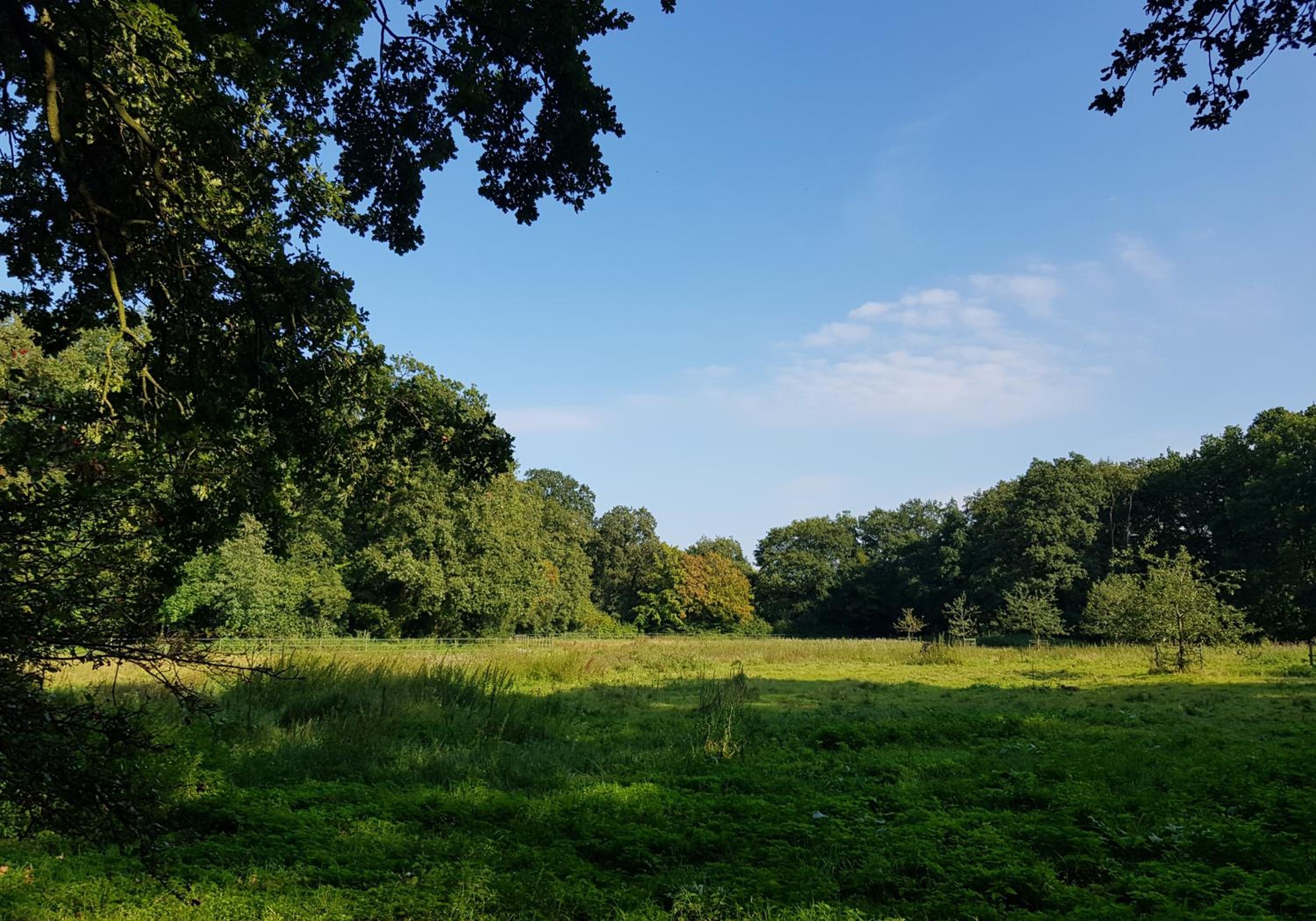 Wohlfühloase am Bad Zwischenahner Meer