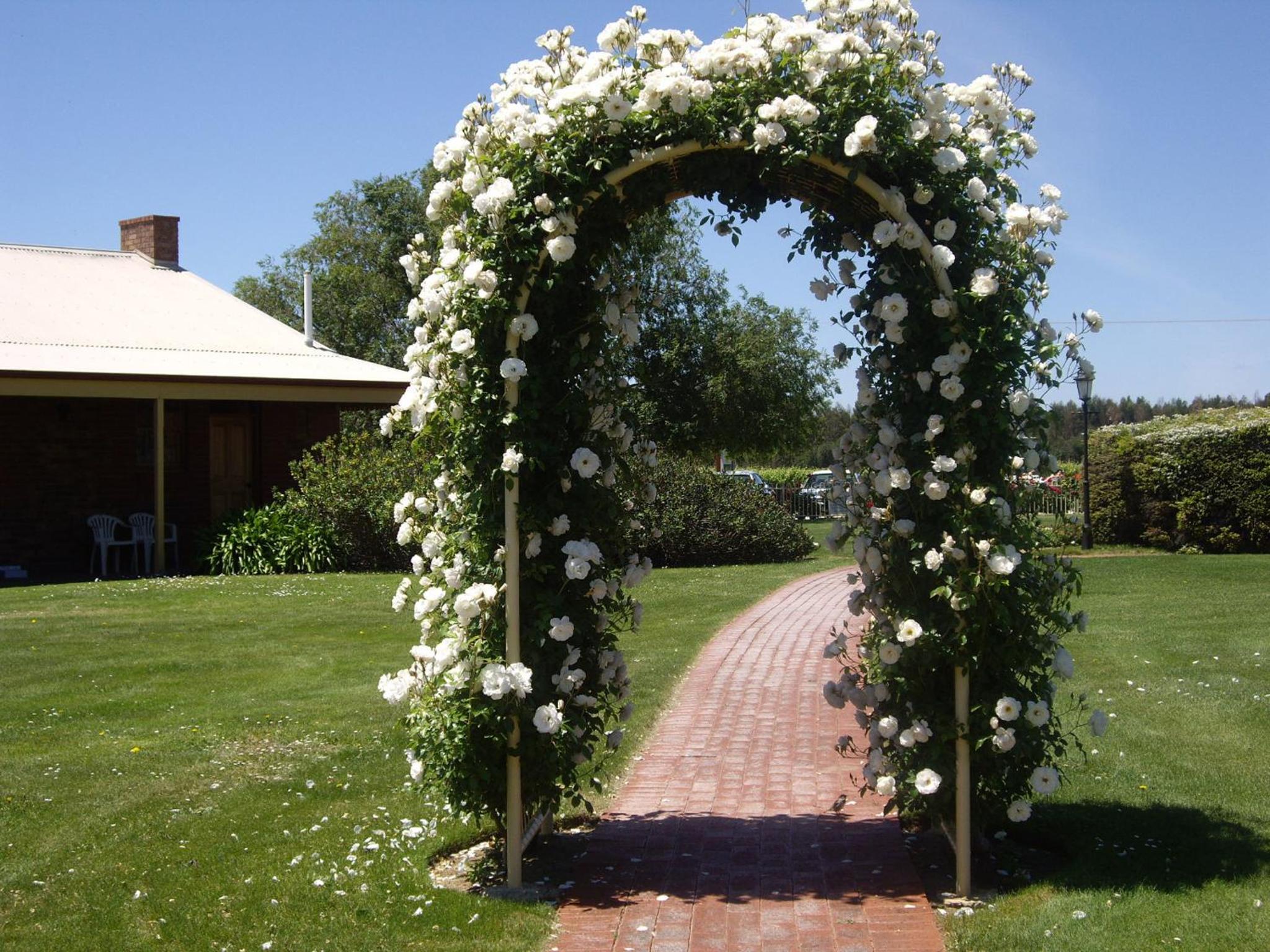 Coonawarra Place Motor Inn