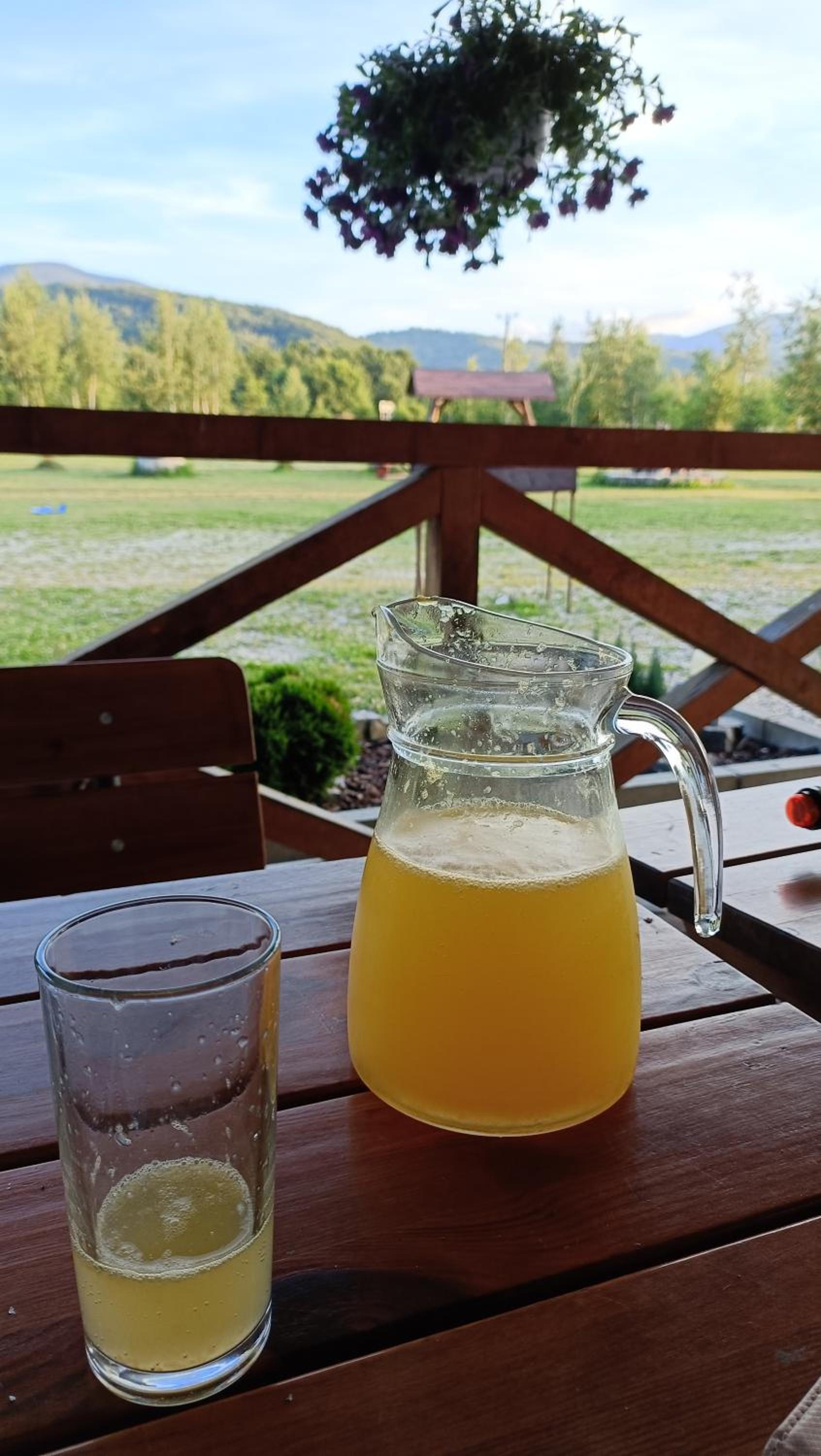 Pensiunea Crăișorul Muntelui