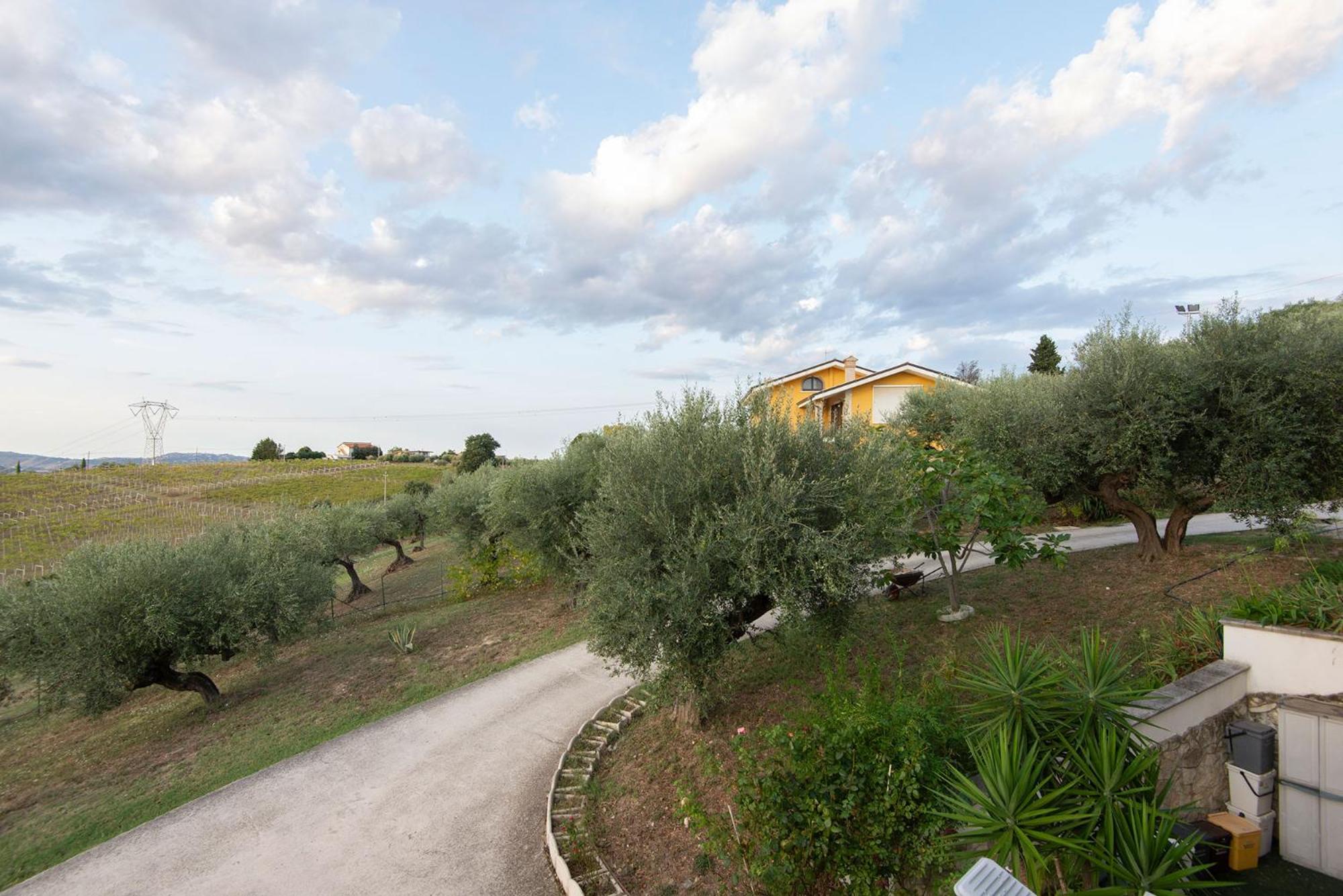 Green Residence Villa Assunta