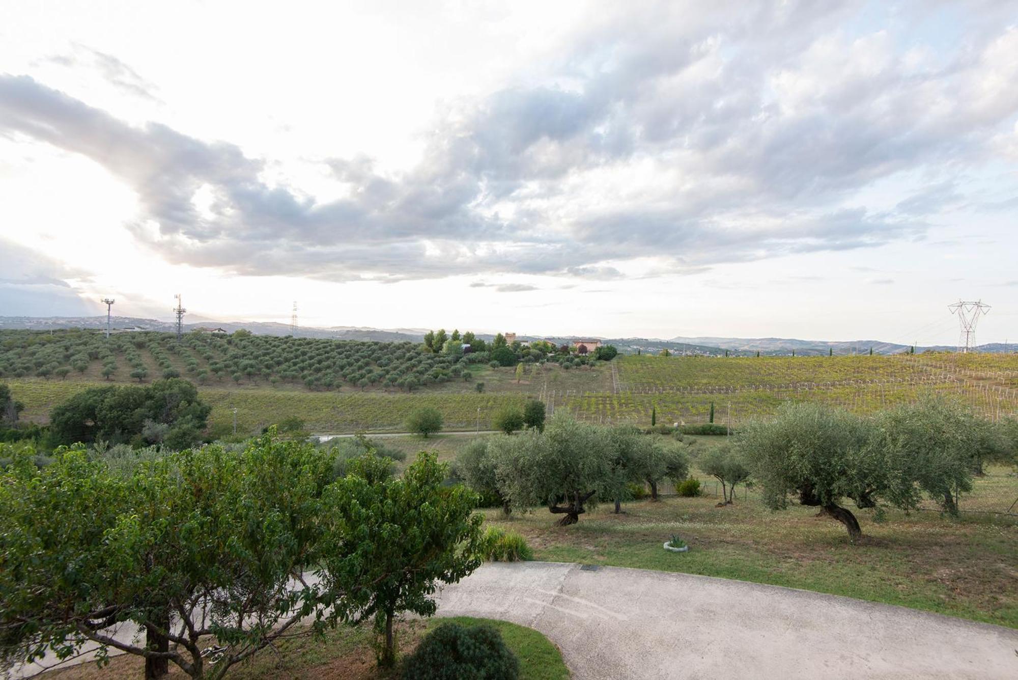 Green Residence Villa Assunta