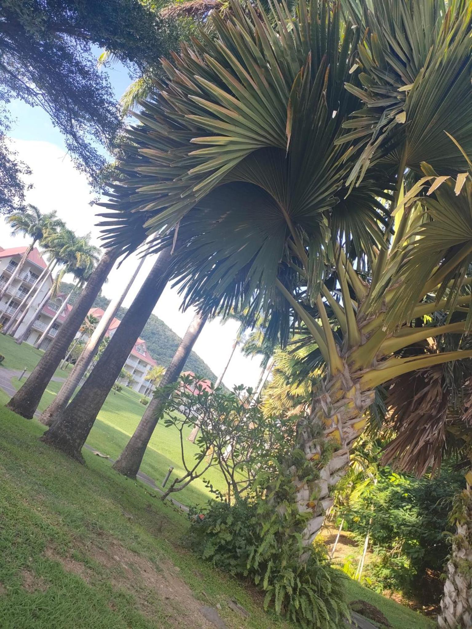 Appartement 2 à 6 personnes dans un magnifique complexe de Vacances à Sainte-Luce view 5