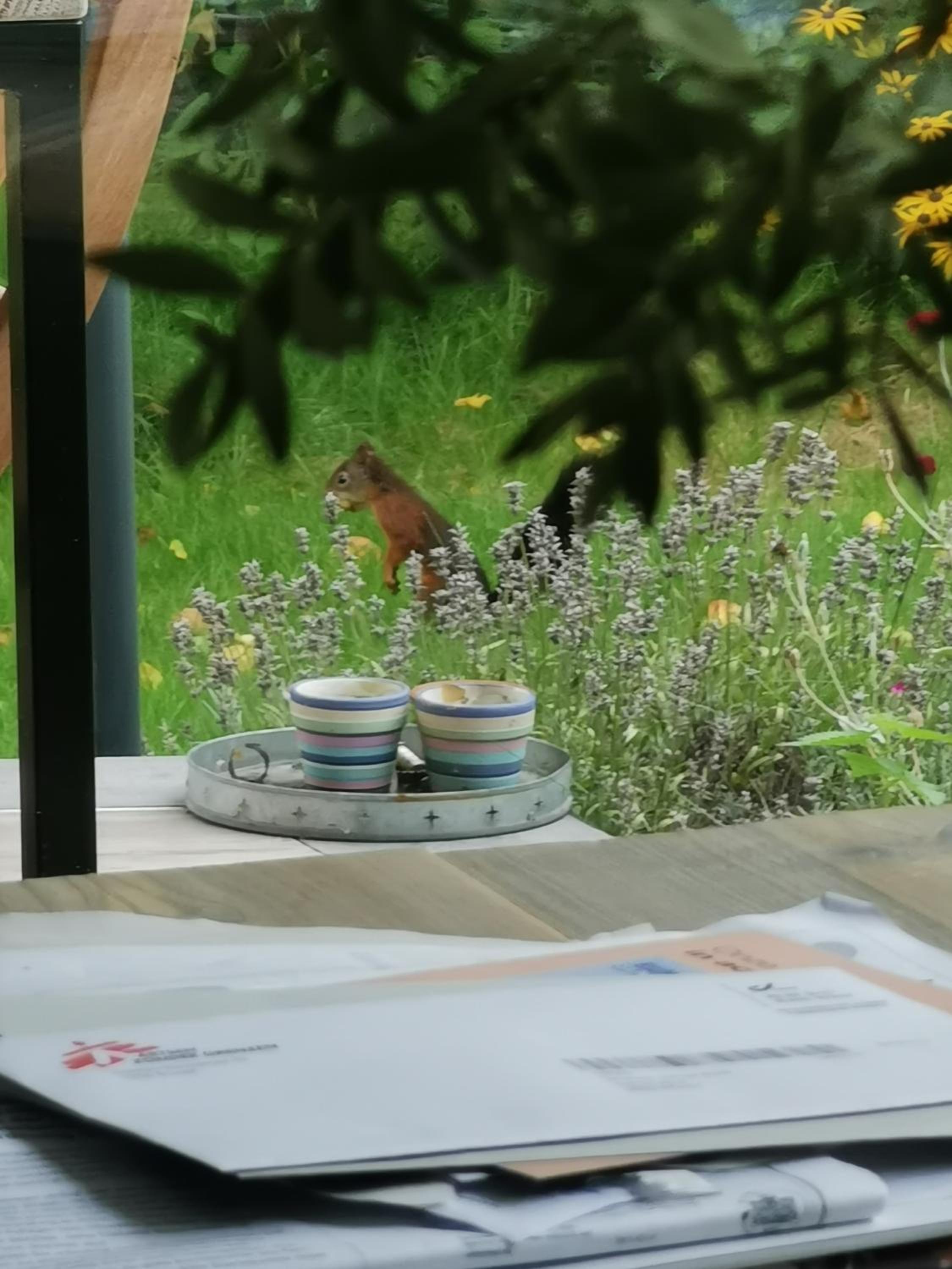 ScraB&Ble Ecologische gastenkamers