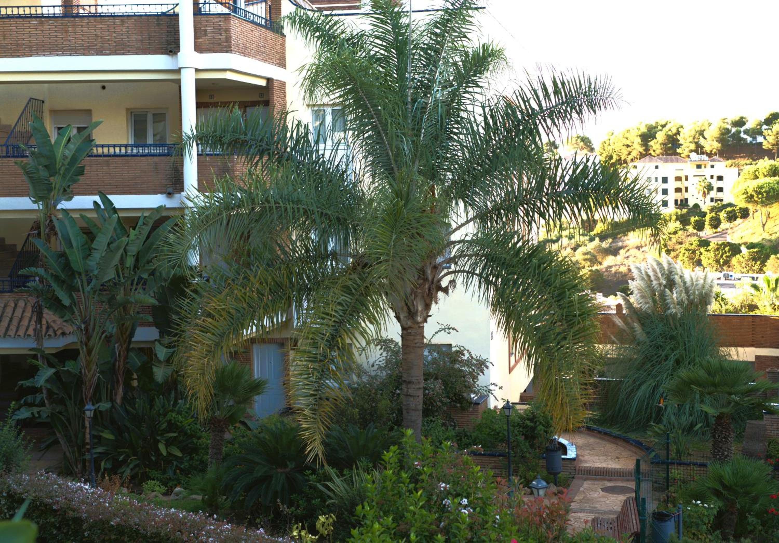 Beautiful Holiday Home - Miraflores Mijas Costa