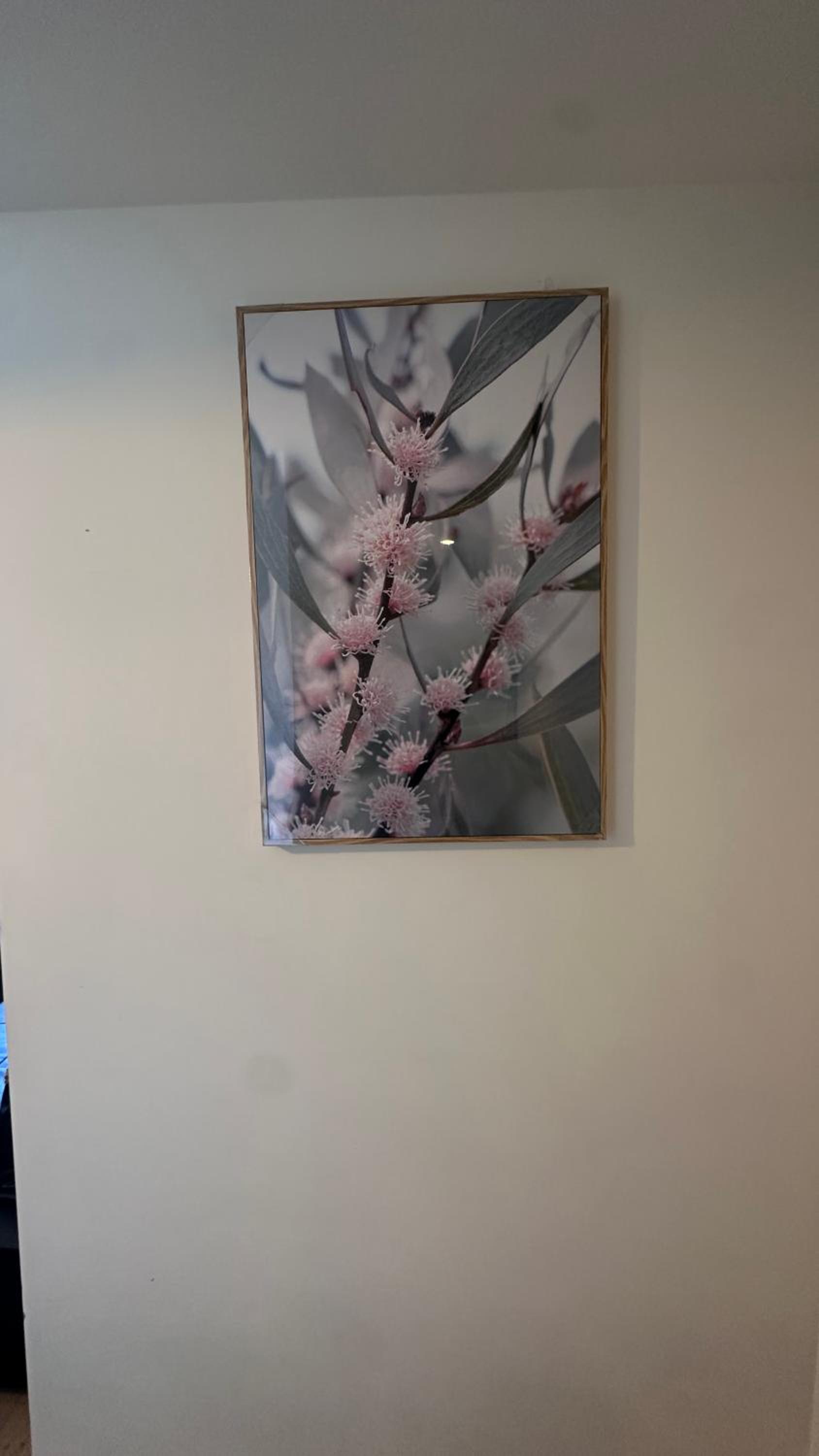 Nest Apartments MEET Empire