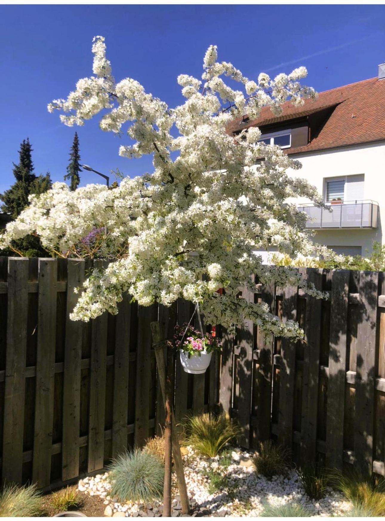 Sylvis Home Zentral gelegenes Ferienhaus in ruhiger Lage