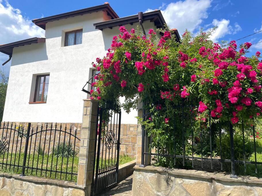 Guest House “Anchetata”