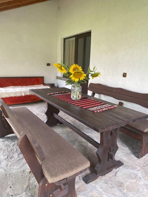 Guest House “Anchetata”