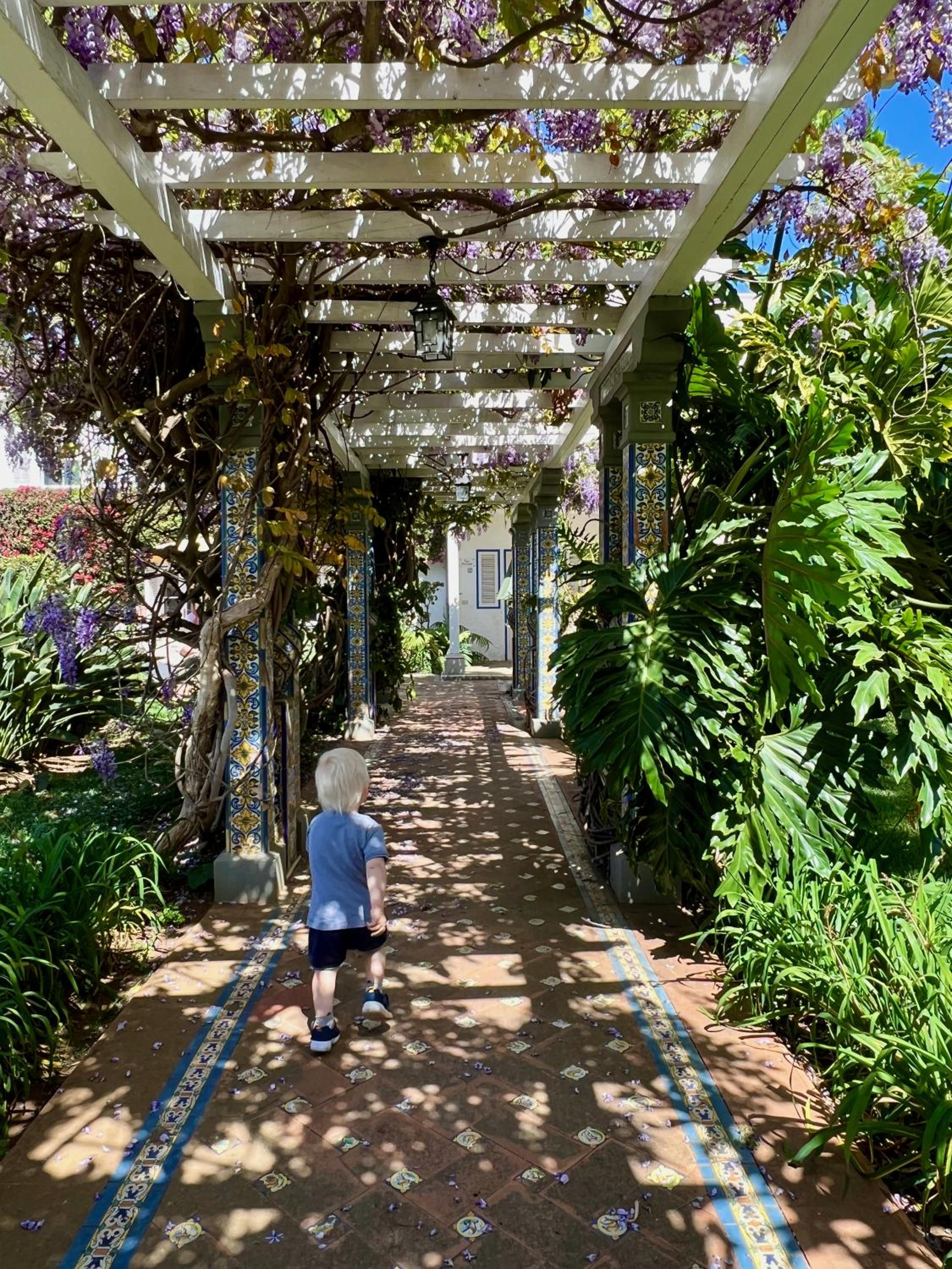 Villa Finca El Drago