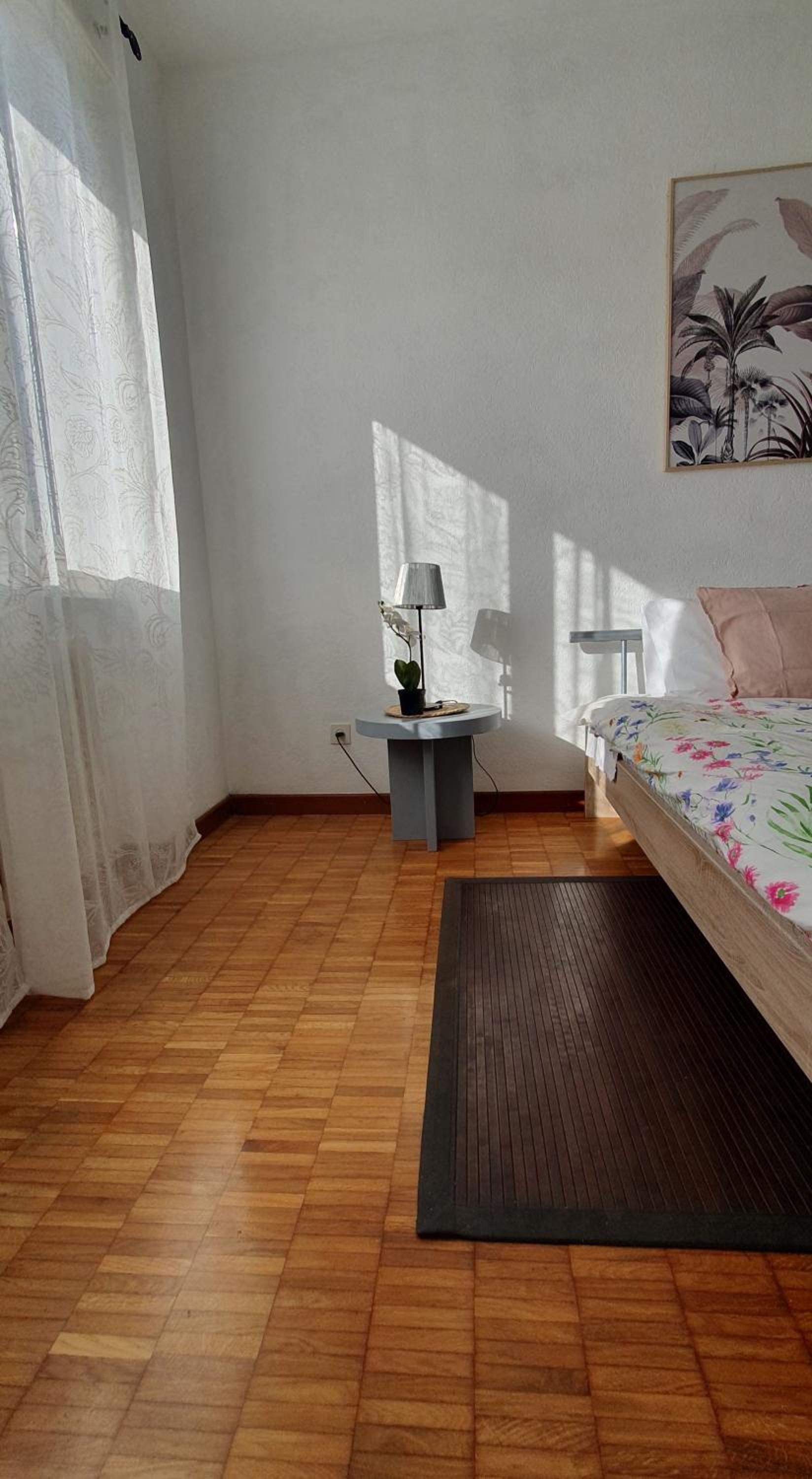 Charming Penthouse near Como lake