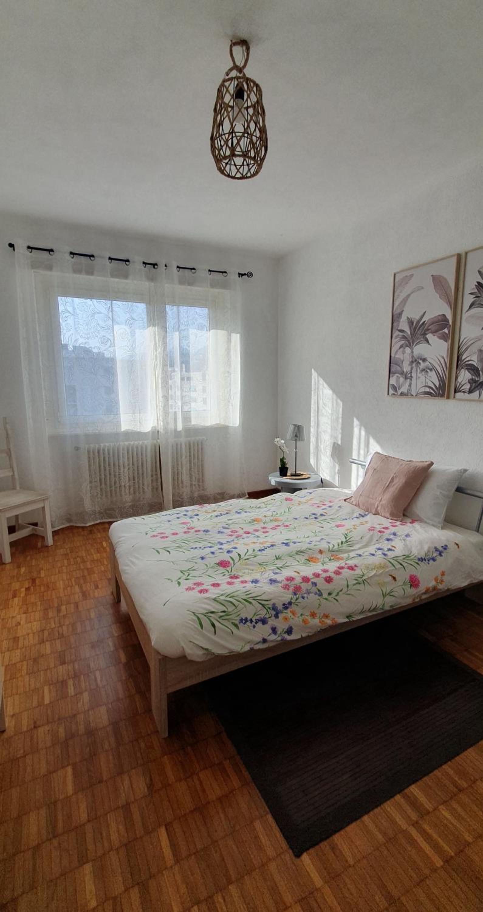 Charming Penthouse near Como lake