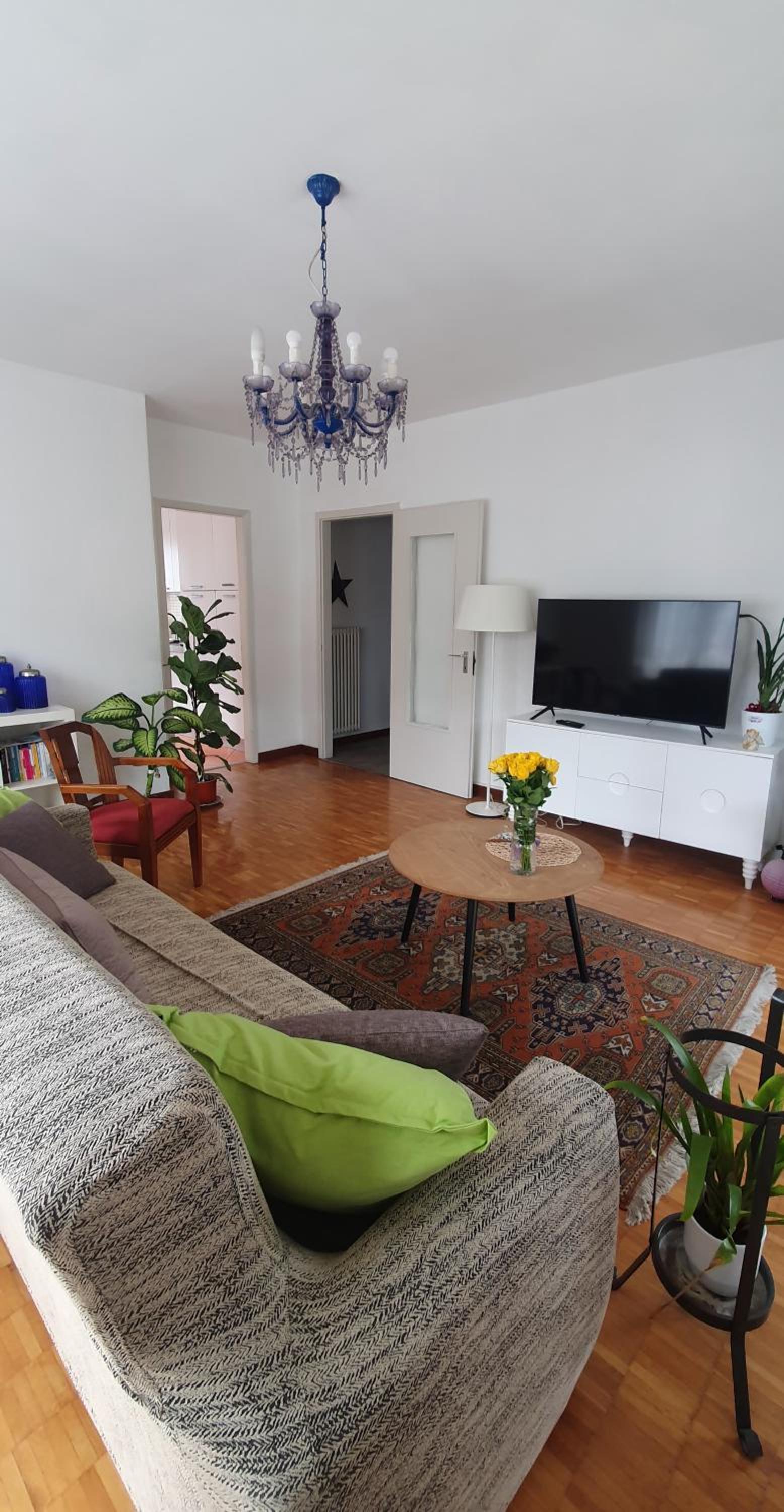 Charming Penthouse near Como lake