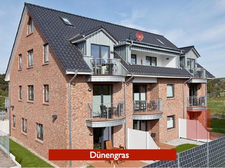 Inselzauber - Dünenrose