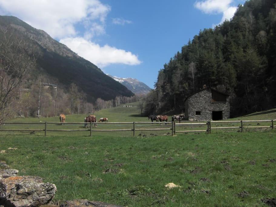 Apartament Gran Pirineu