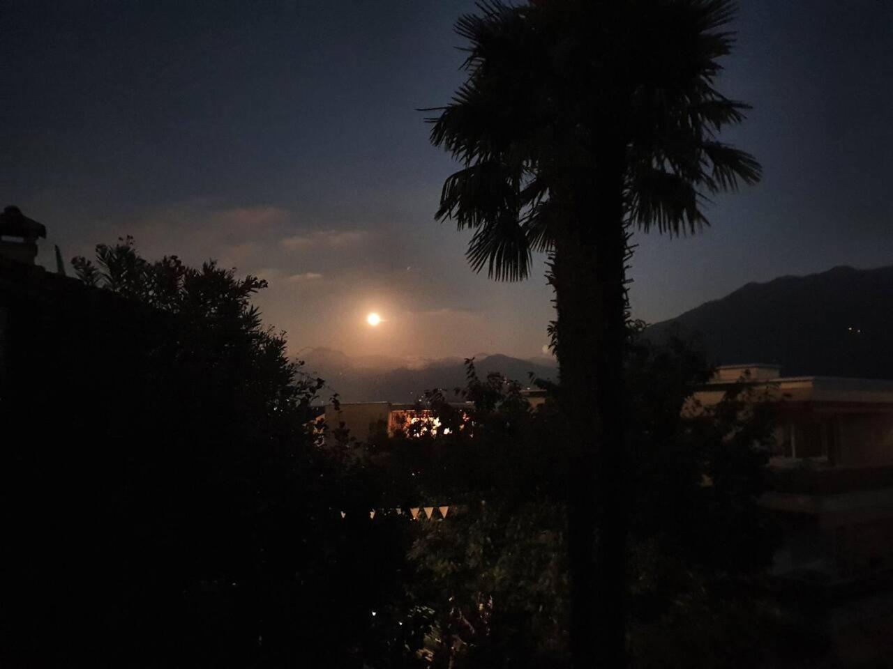 Casa delle Vigne: Giardino, pergola e vista lago