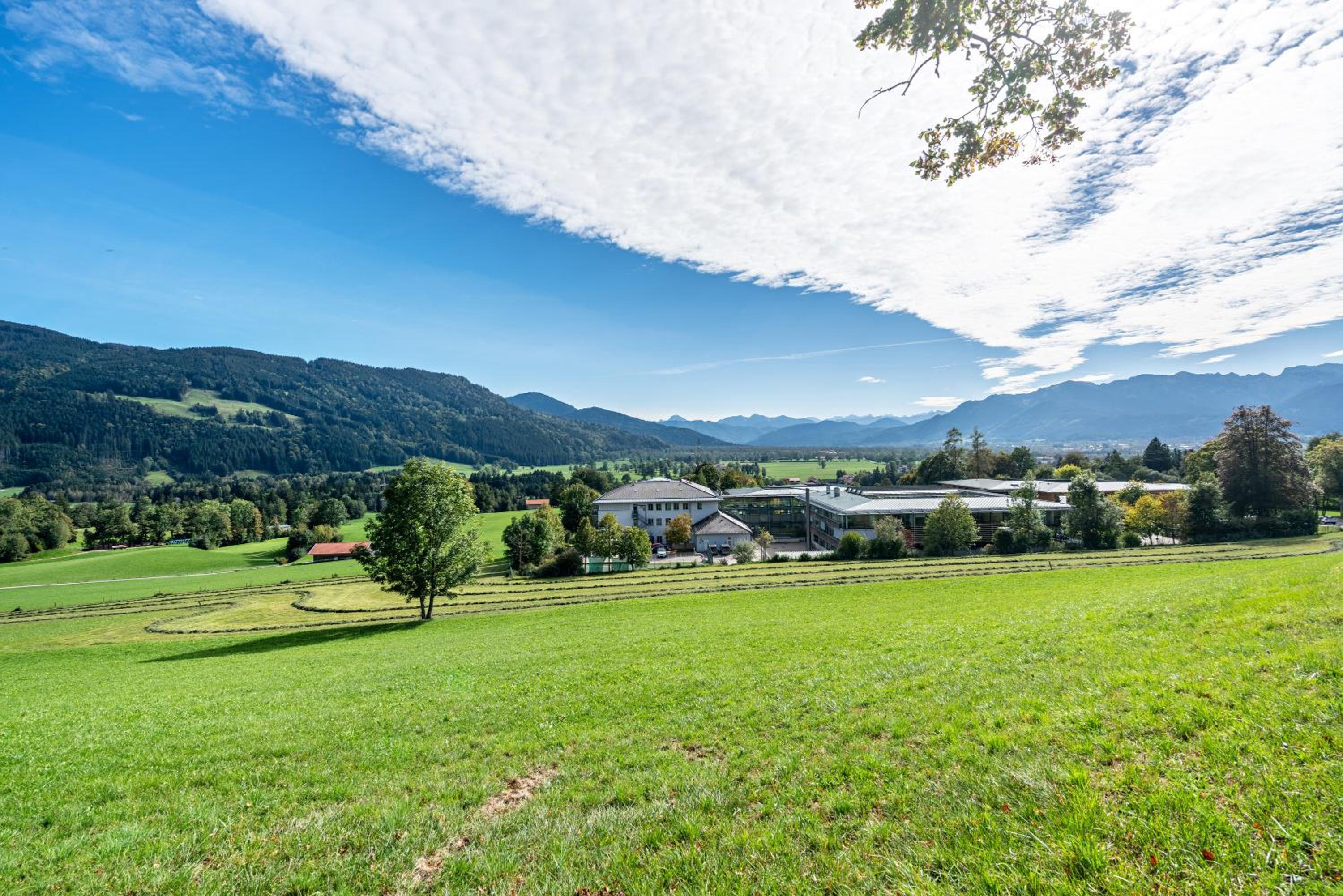 Wohnung Brauneck