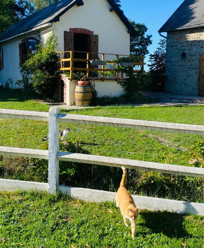 Photo 19
