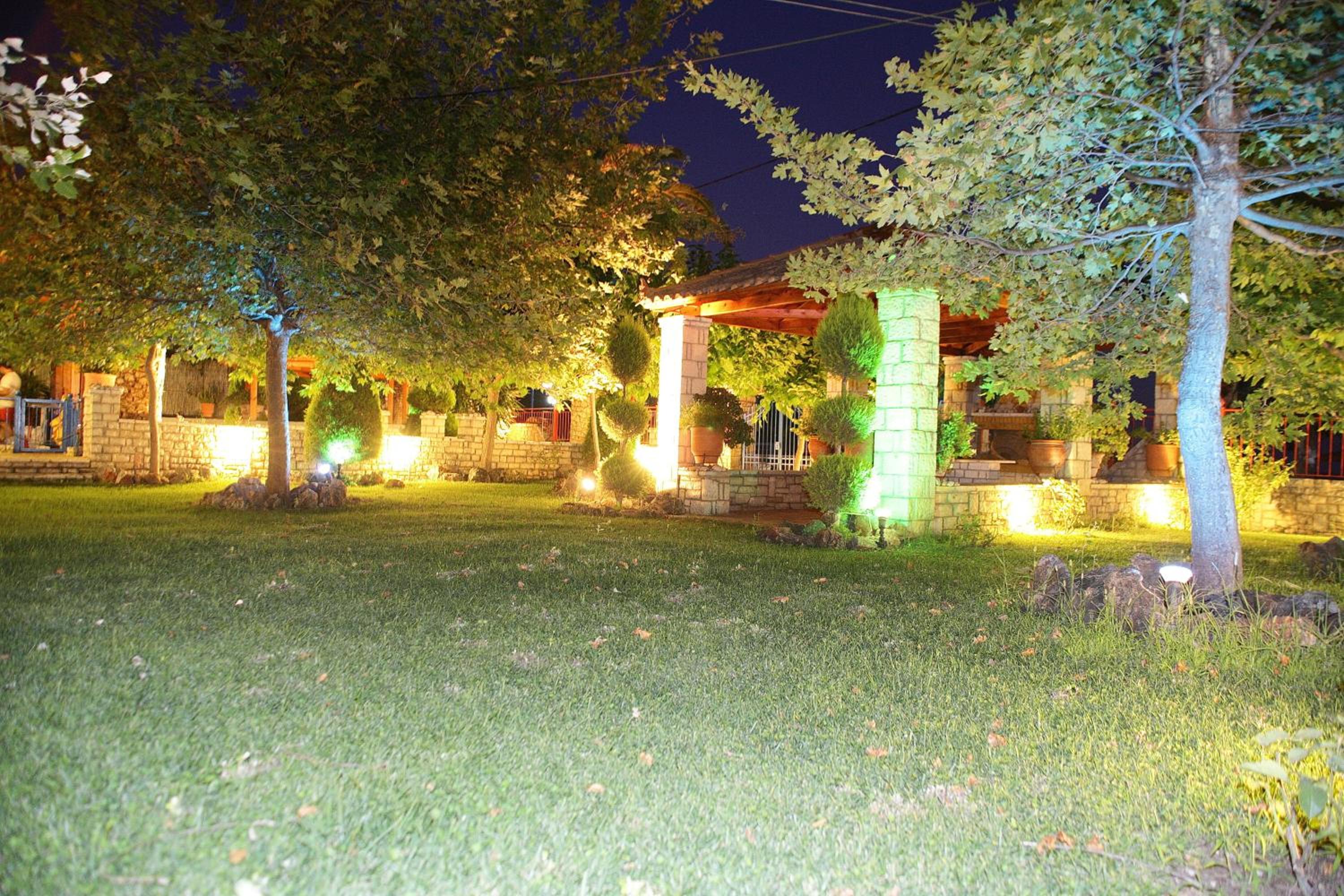 Photo 8