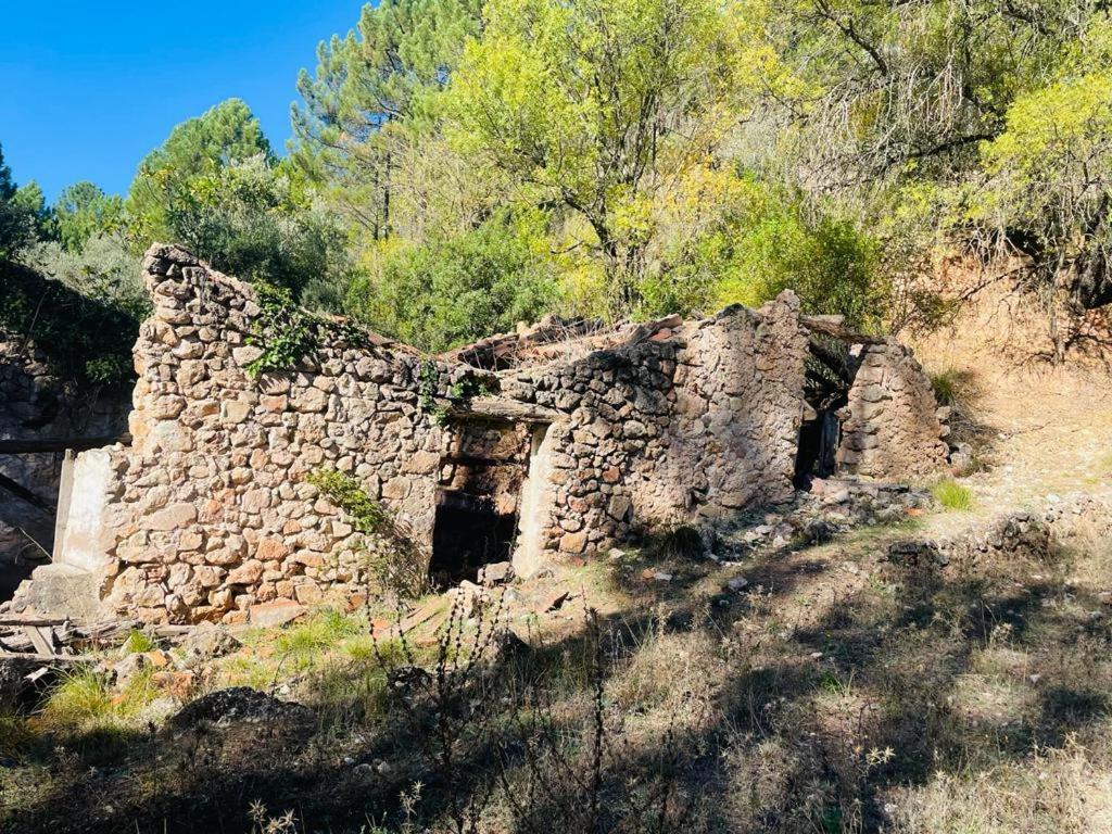 El Quejigo