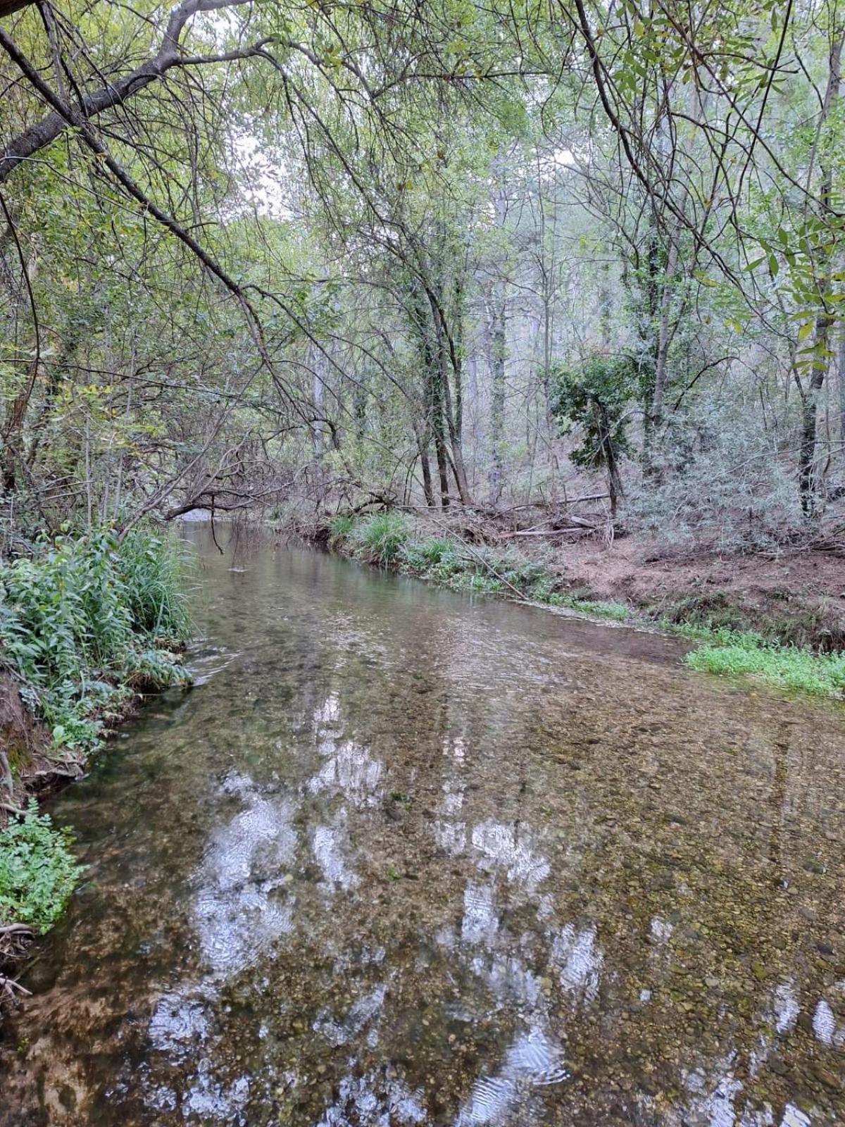 El Quejigo