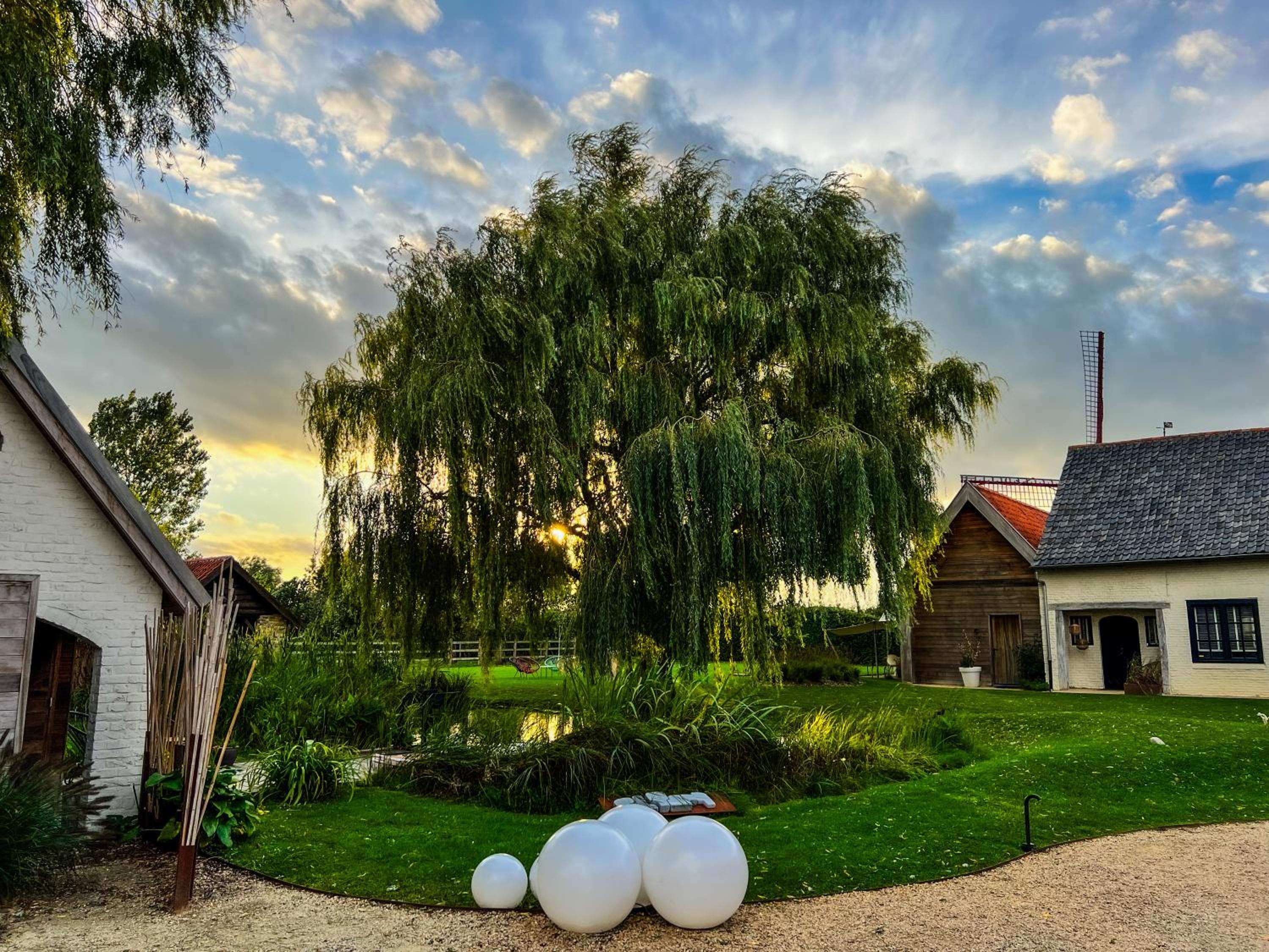 B&B Leonie