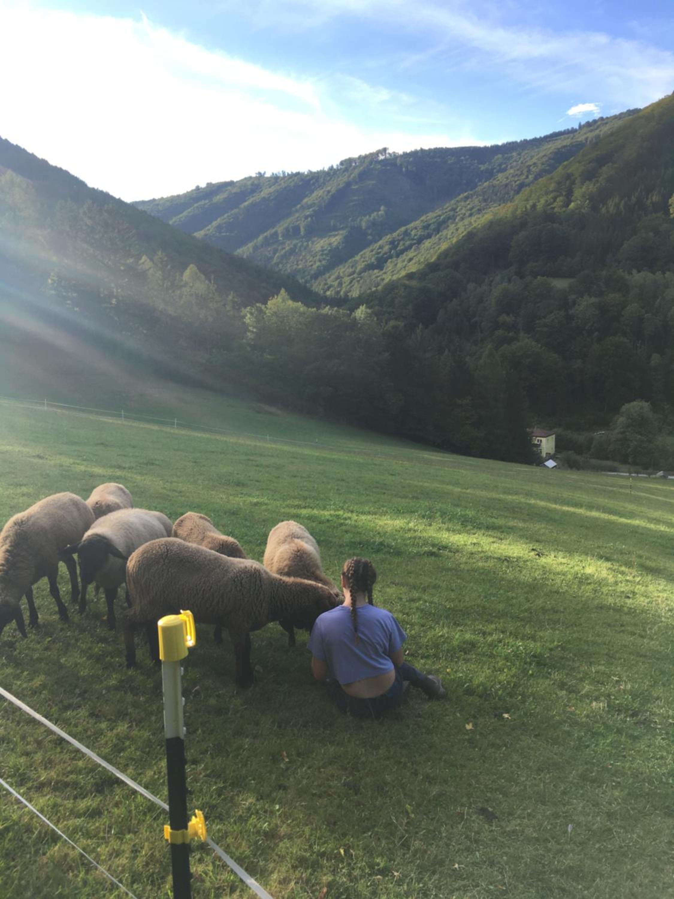 Büchlhof - App. Himmelalm