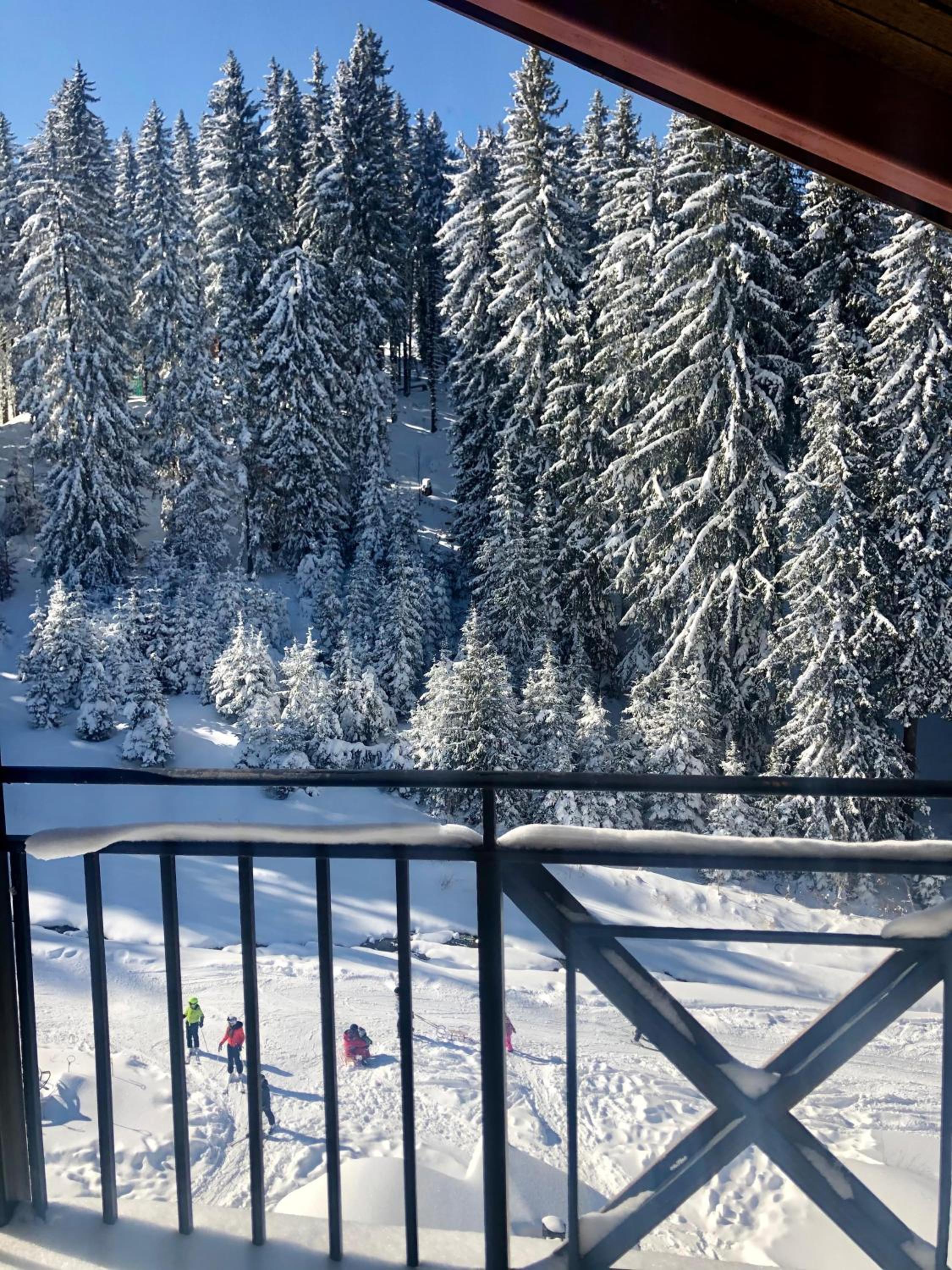 Cozy Studio at The Castle - Pamporovo