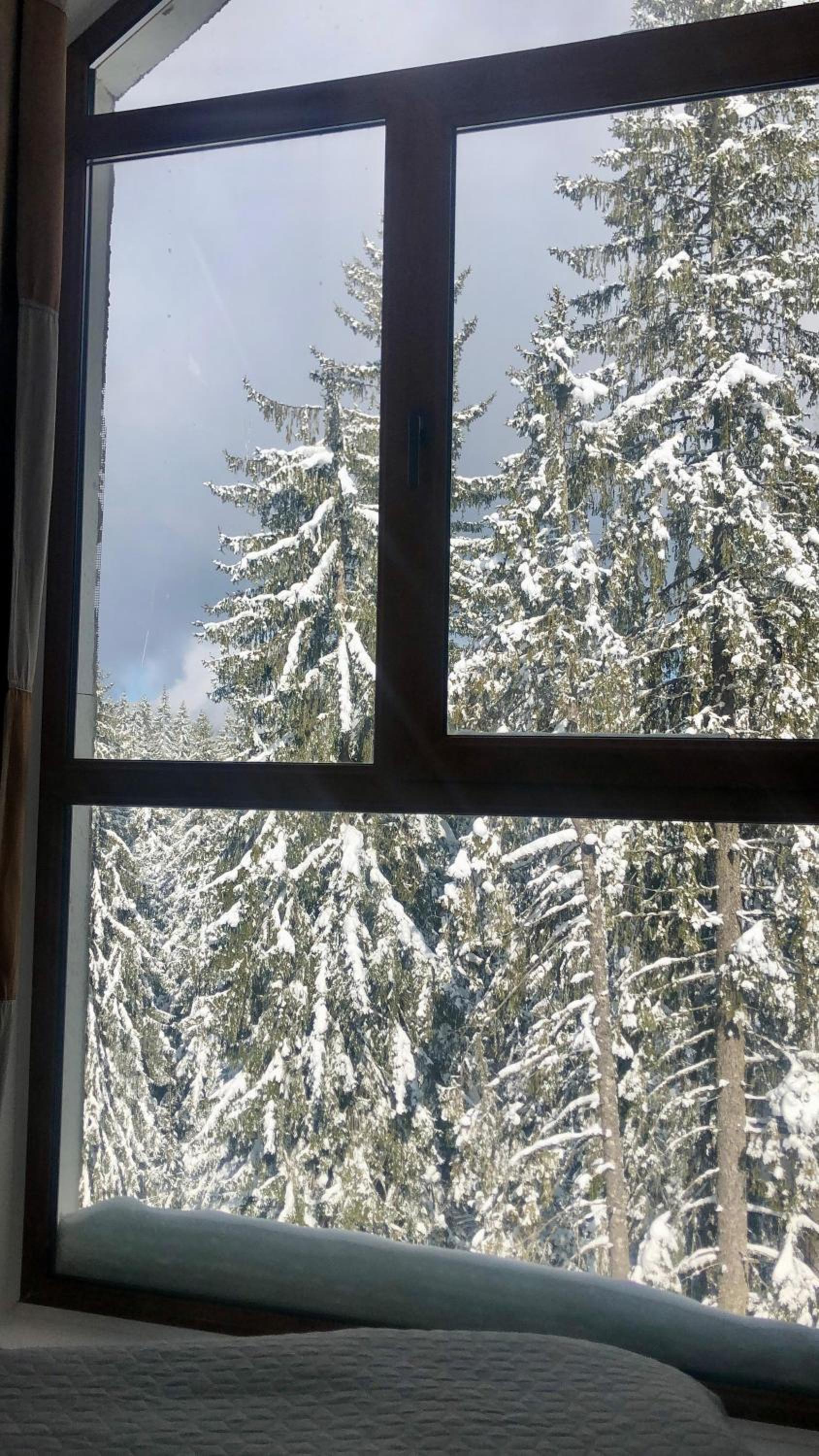Cozy Studio at The Castle - Pamporovo