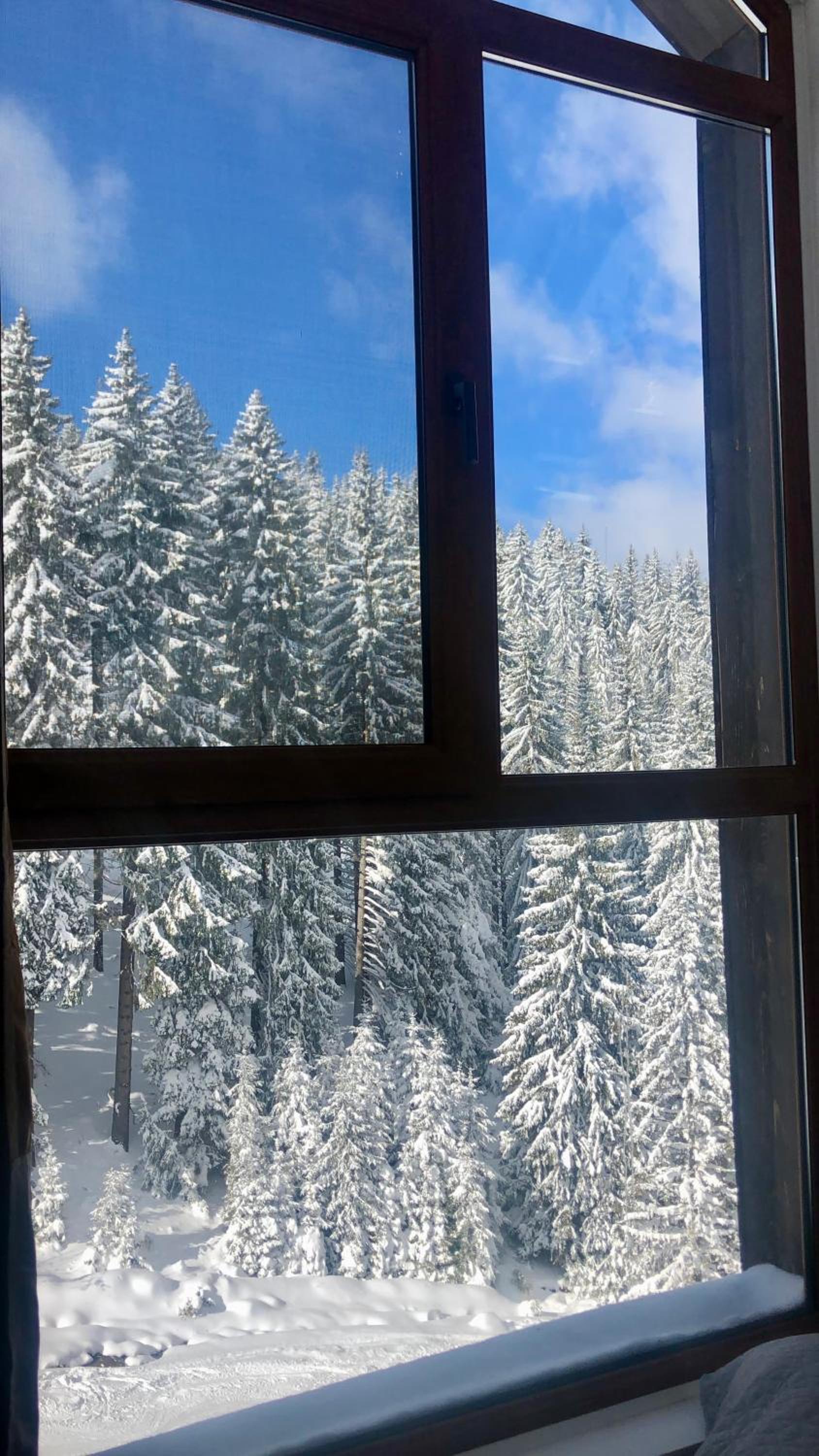 Cozy Studio at The Castle - Pamporovo