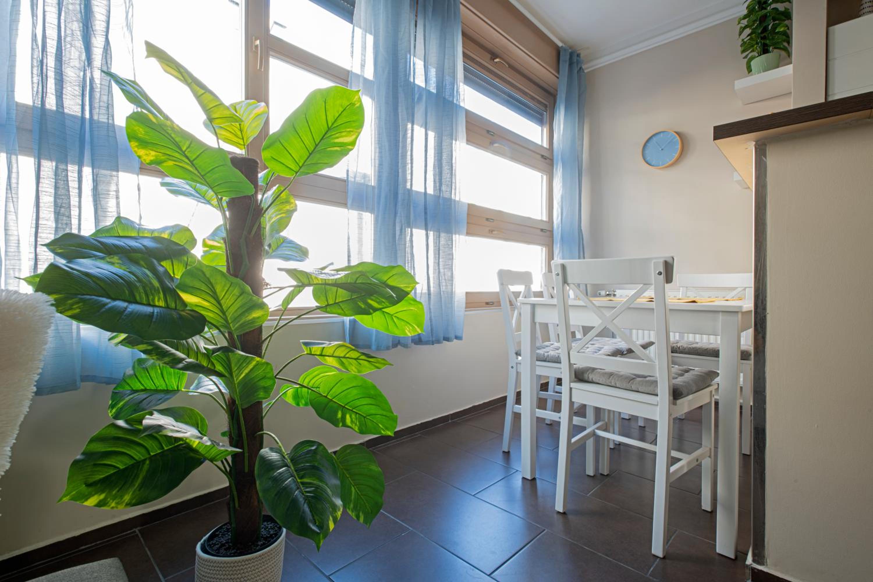 Real home view 3