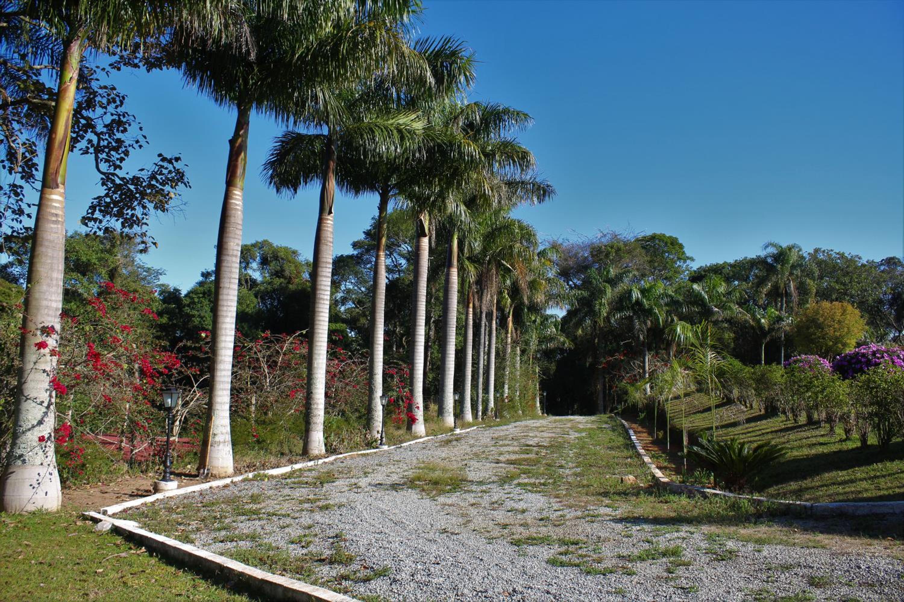 Sítio Vento Verde