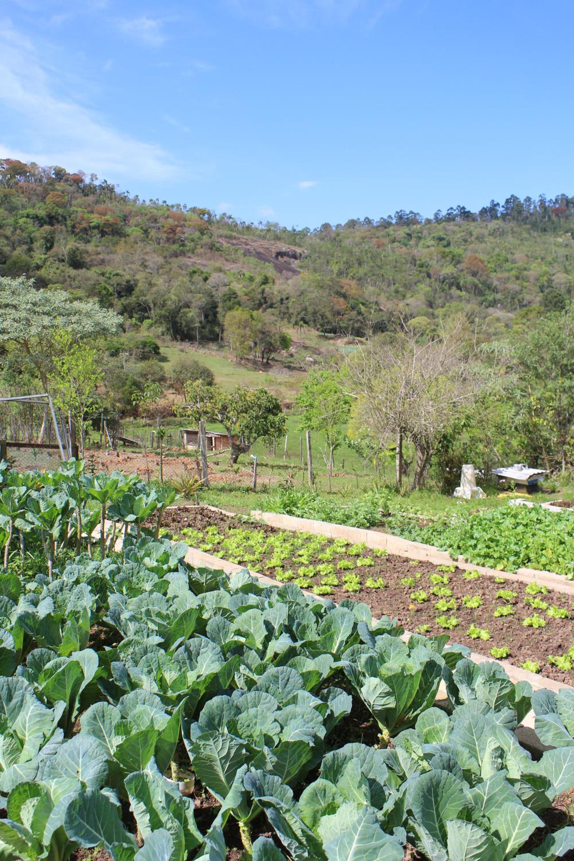 Sítio Vento Verde