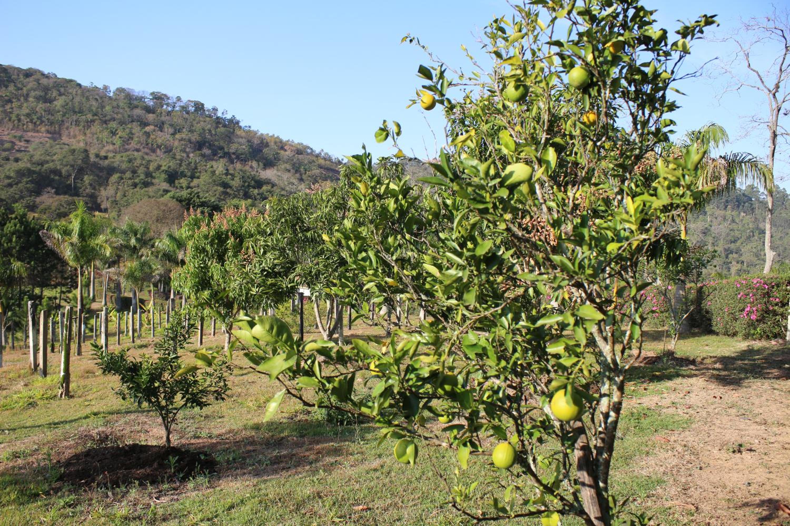 Sítio Vento Verde