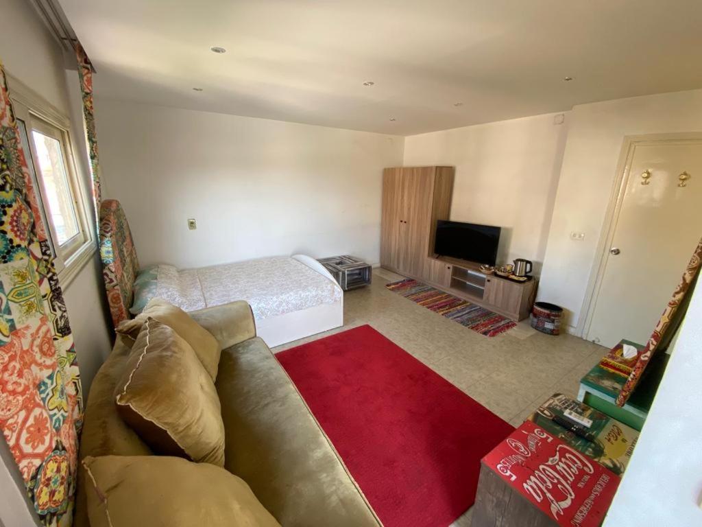 Tamara's Grand Egyptian Museum & Pyramids view 3BR Entire Apartment