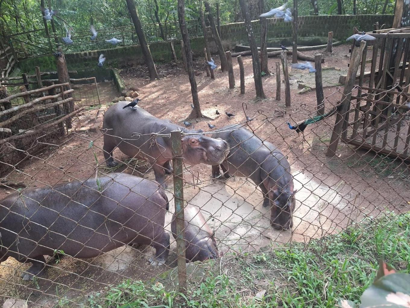 KENSON HOMESTAY