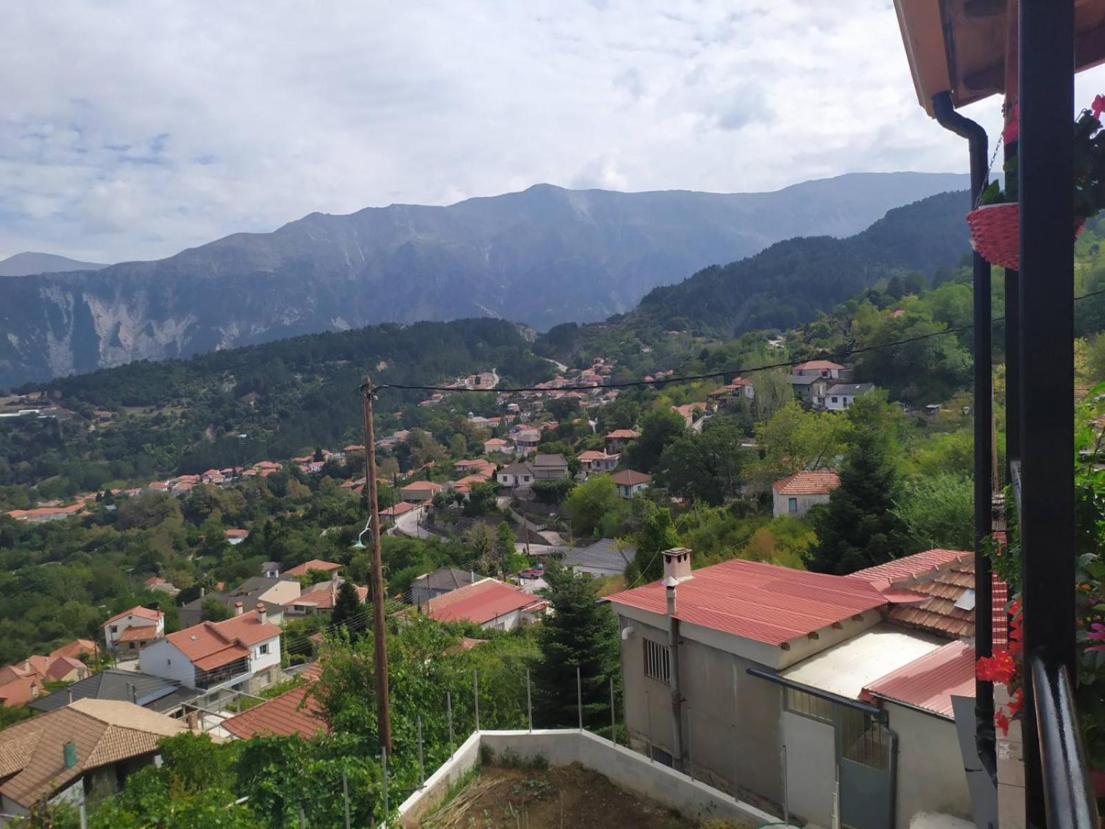 Dora's Home view 2