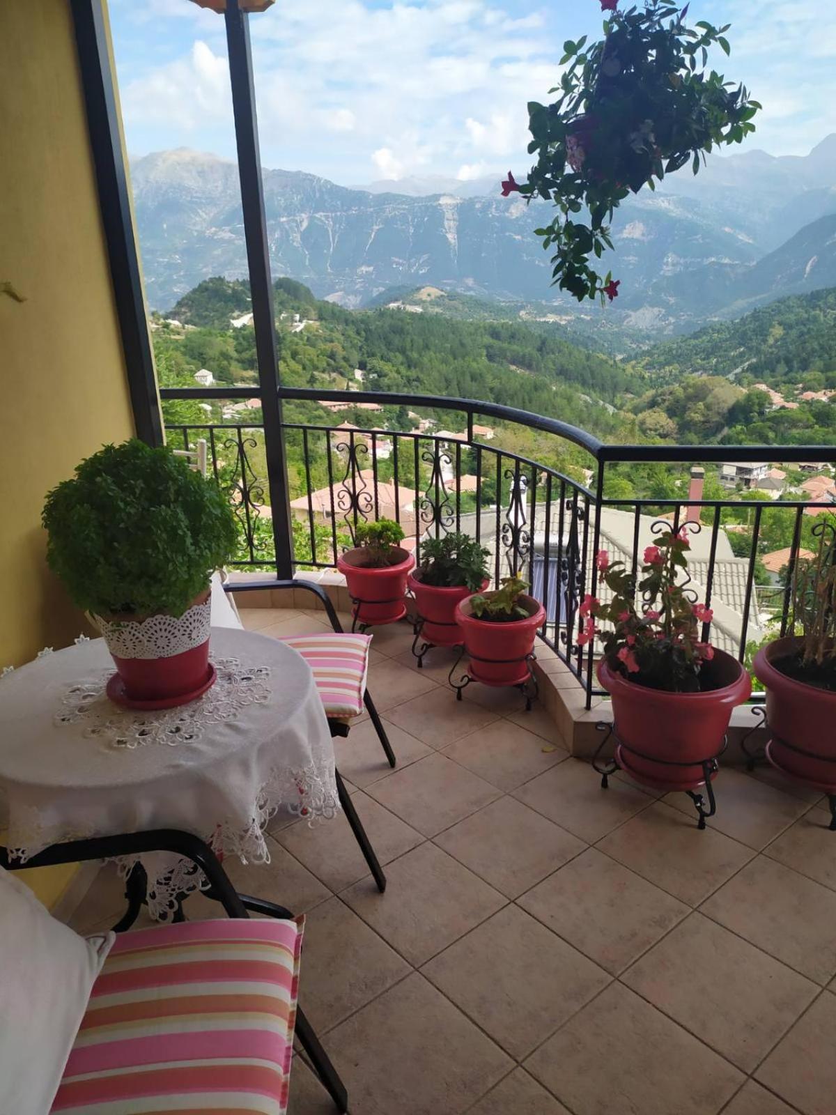 Dora's Home view 3
