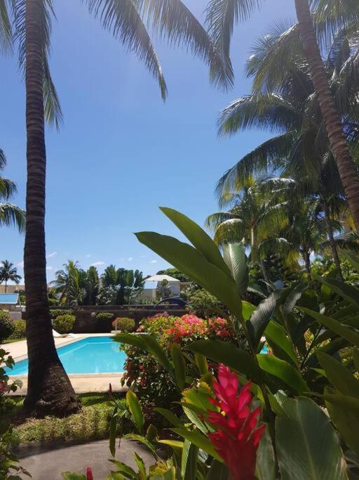 Appartment et piscine