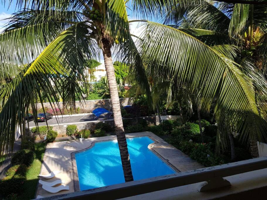 Appartment et piscine