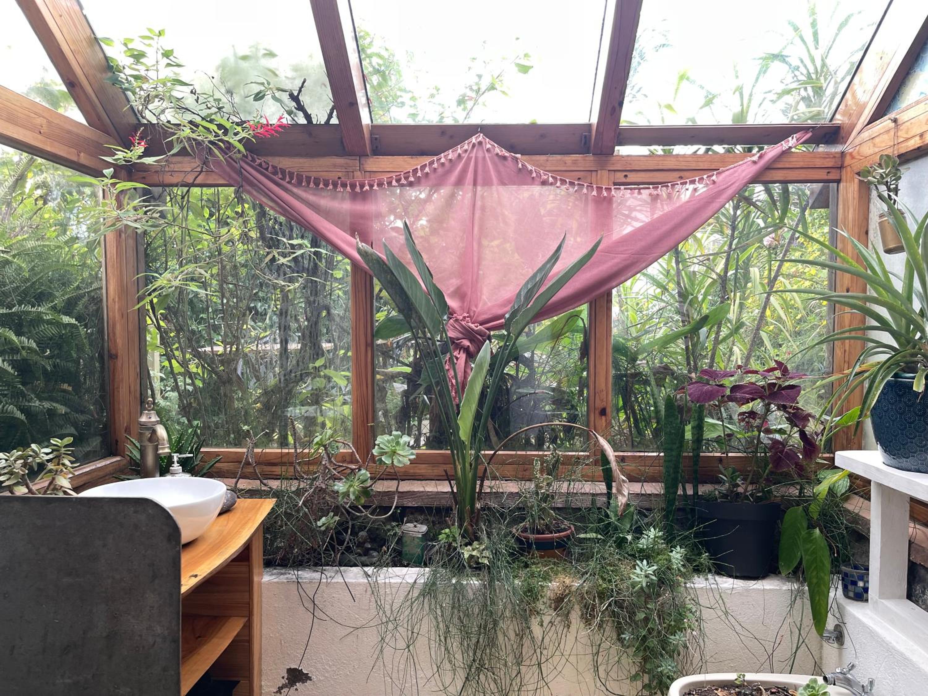 Sunset Nest view 5