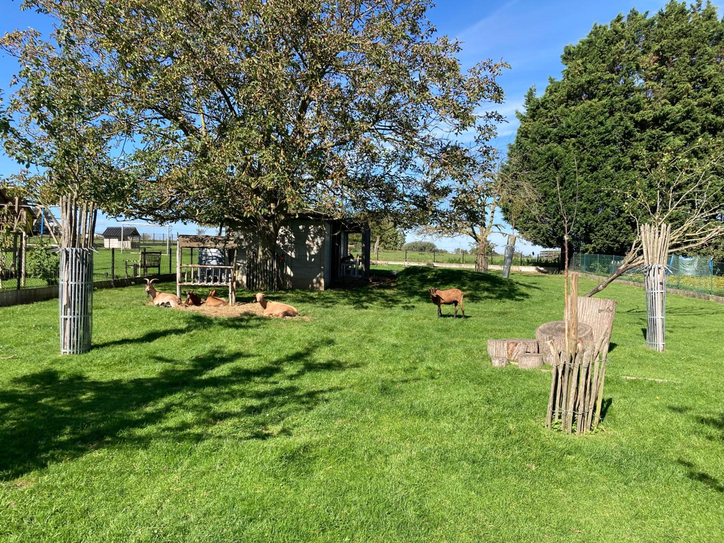 B&B Den Biesthoek