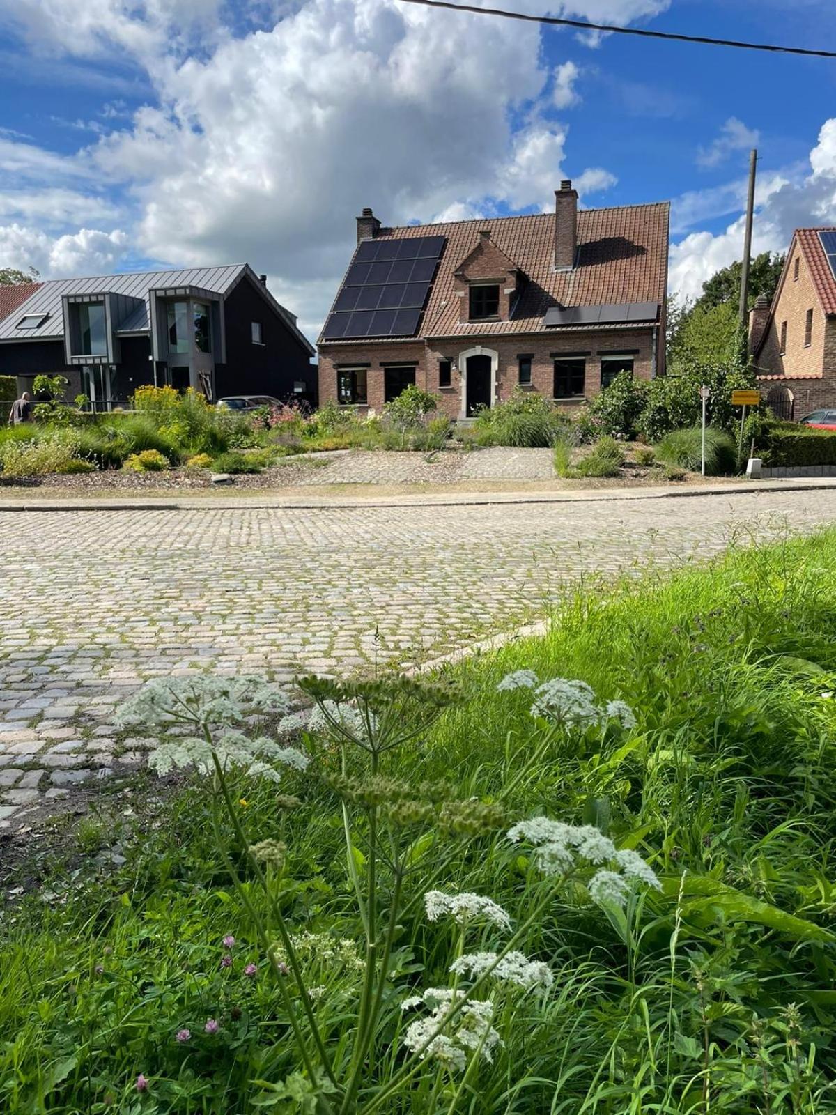 B&B Den Biesthoek