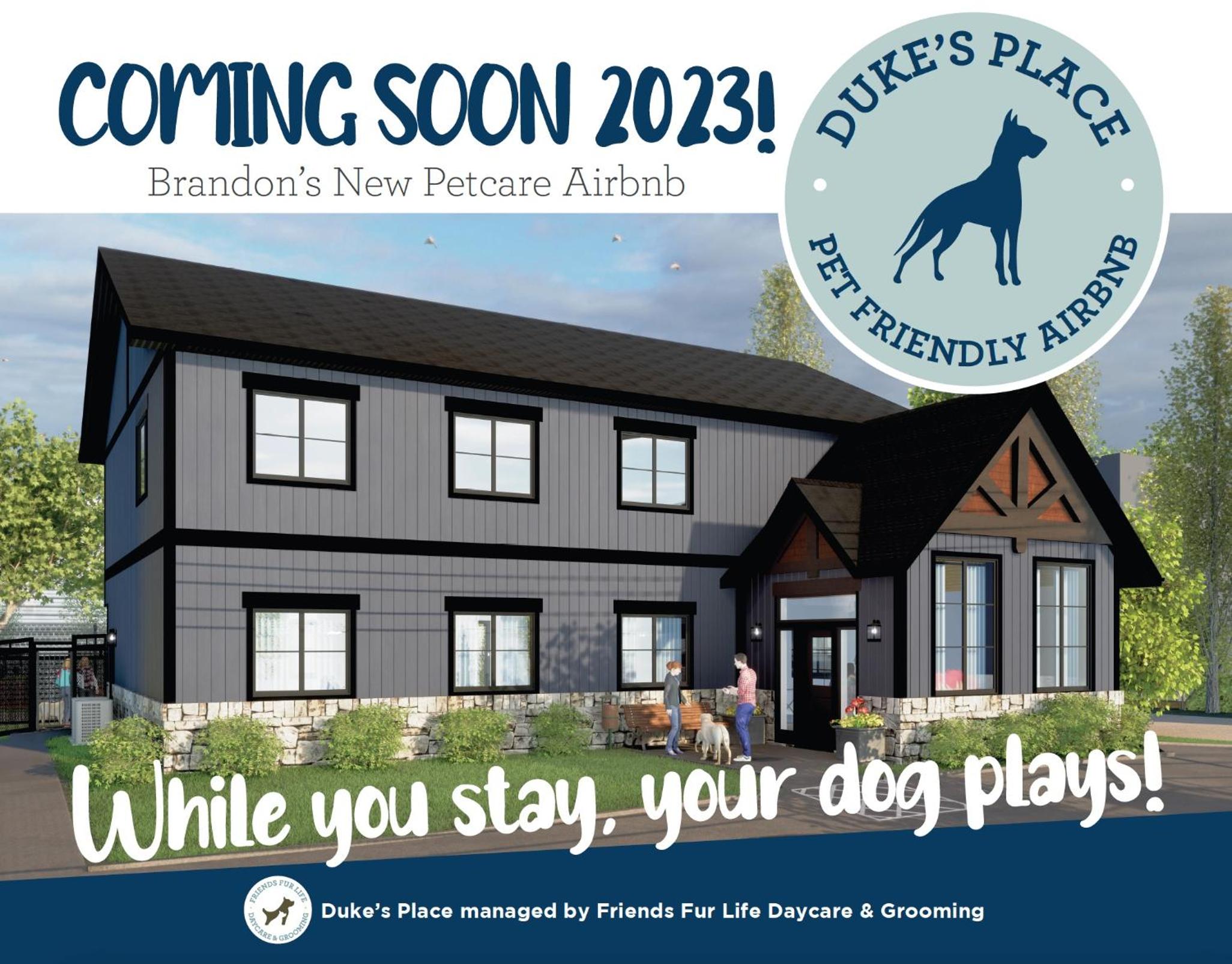 Brooklynn Suite Pet Friendly